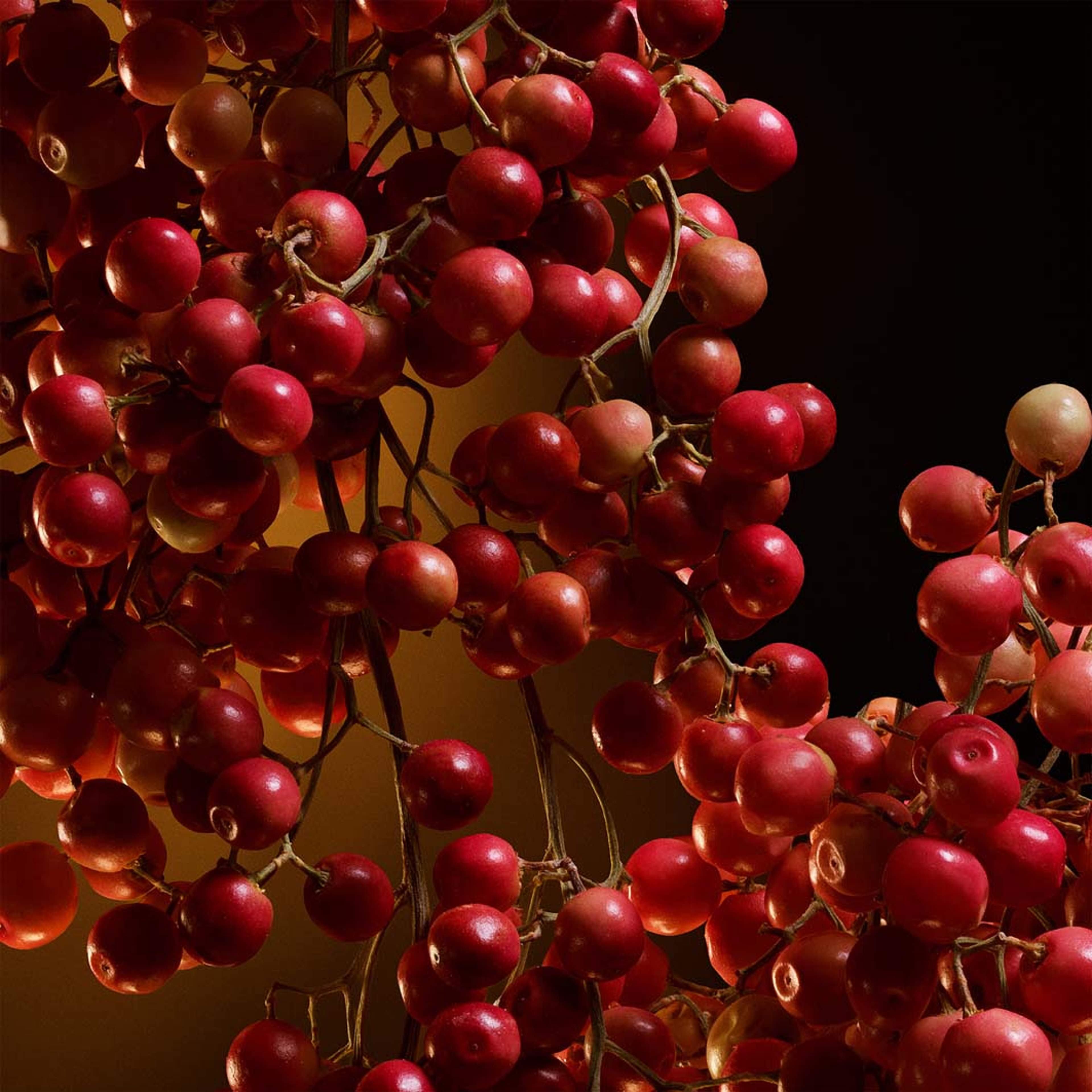 The One EdP Intense, från Dolce & Gabbana. Klicka för att öppna bilden i stort format