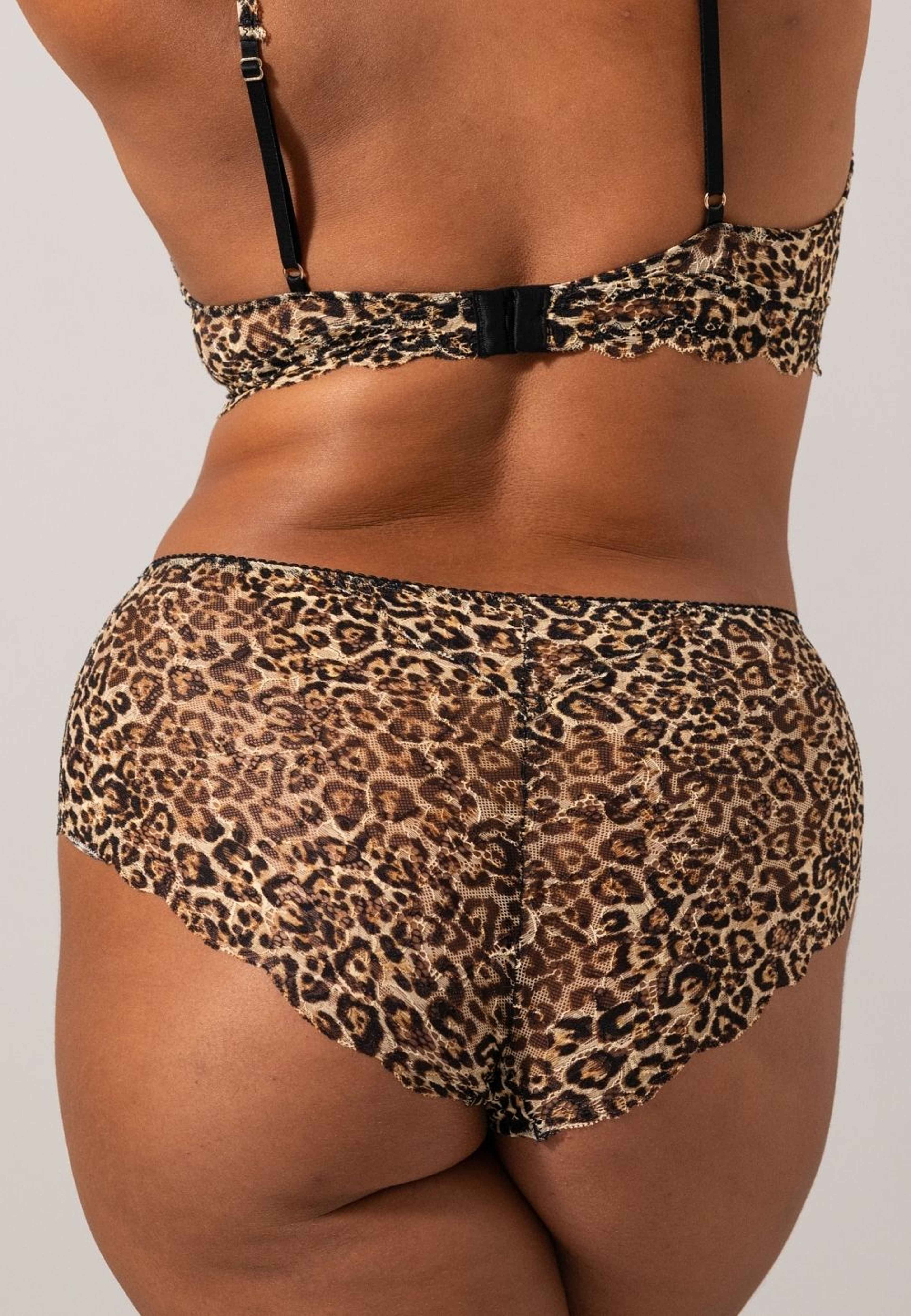 Lace Highwaist Briefs