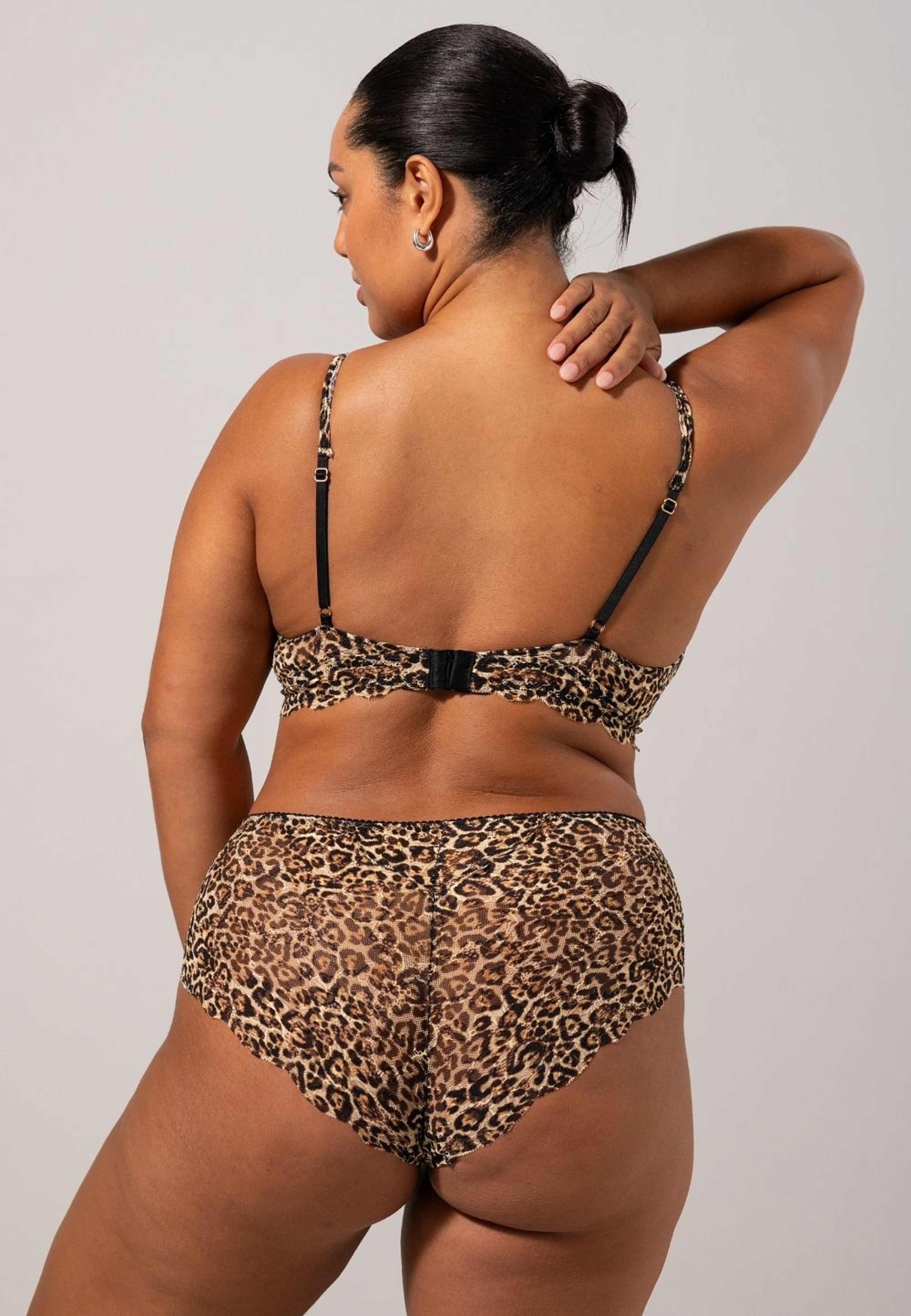 Lace Highwaist Briefs