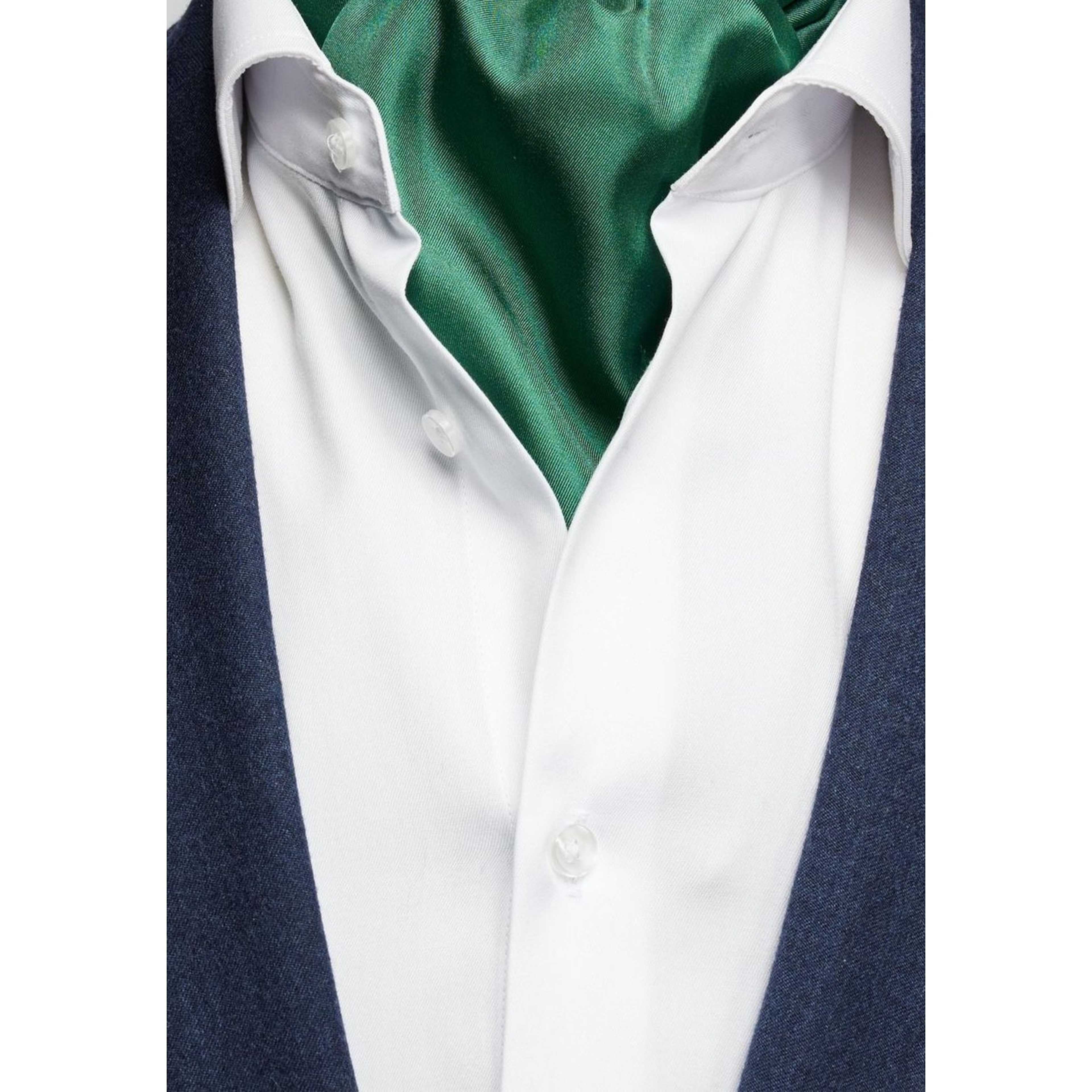 Silk Single Pointed Ascot Plain