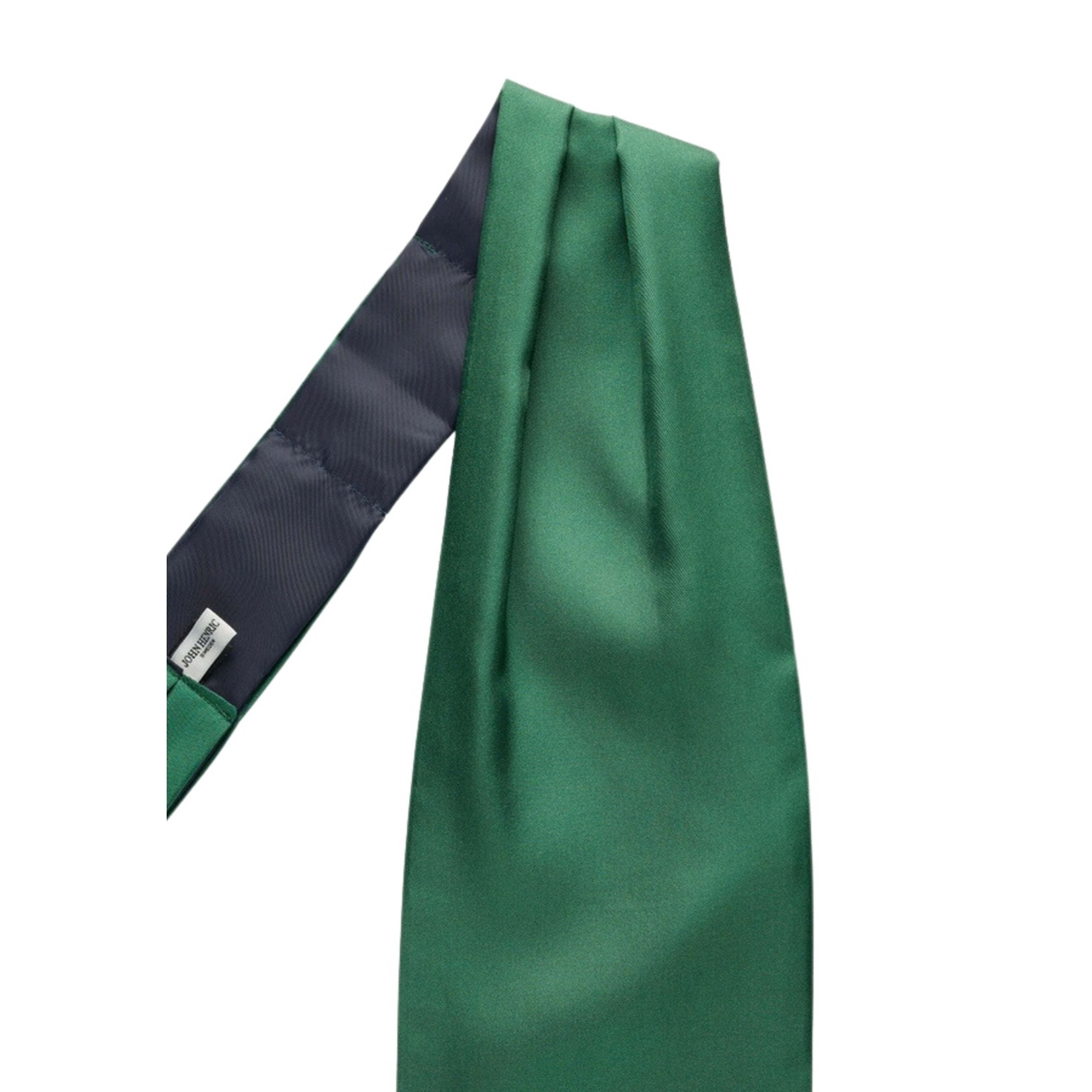 Silk Single Pointed Ascot Plain