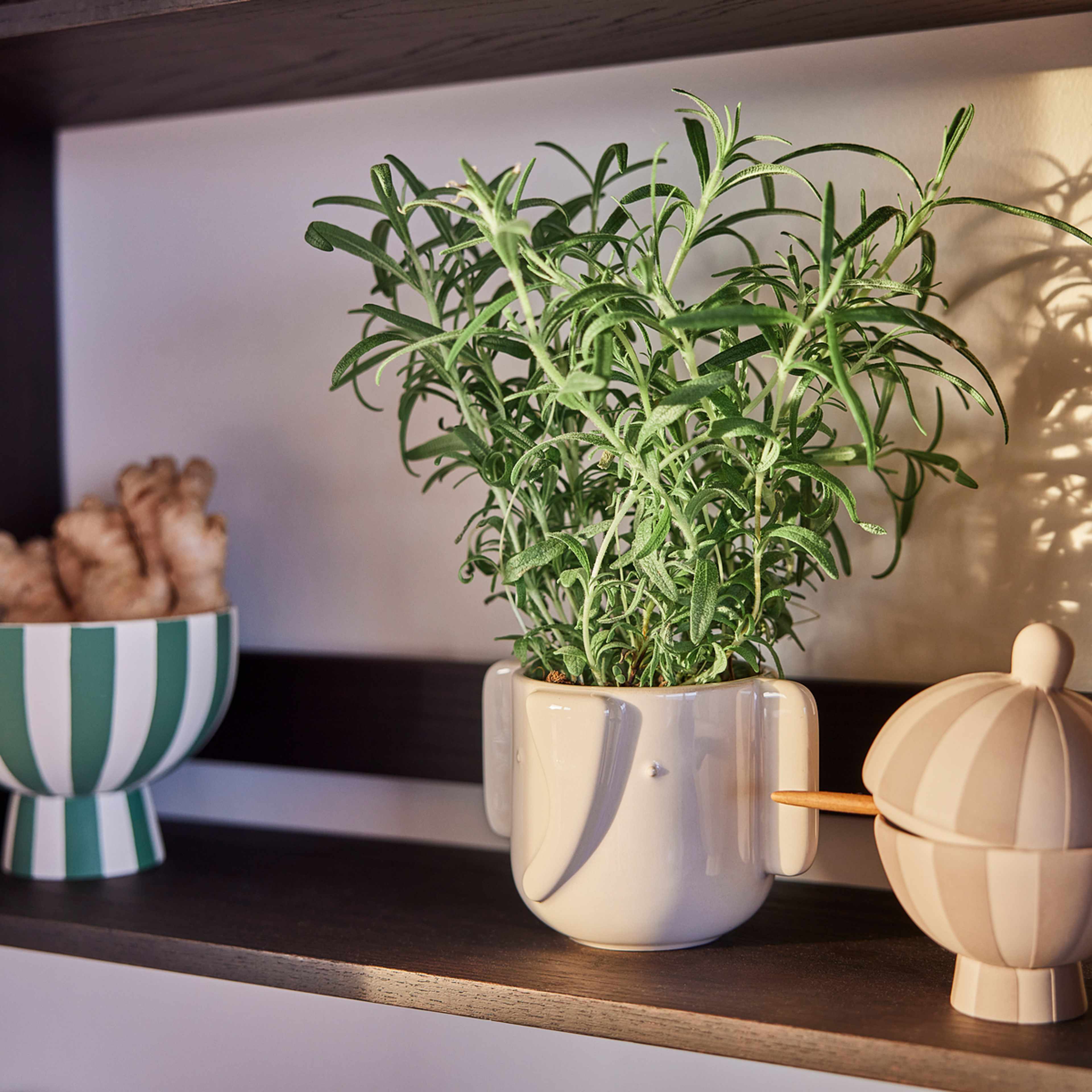 Elephant Pot, från OYOY Mini, i färgen offwhite. Klicka för att öppna bilden i stort format
