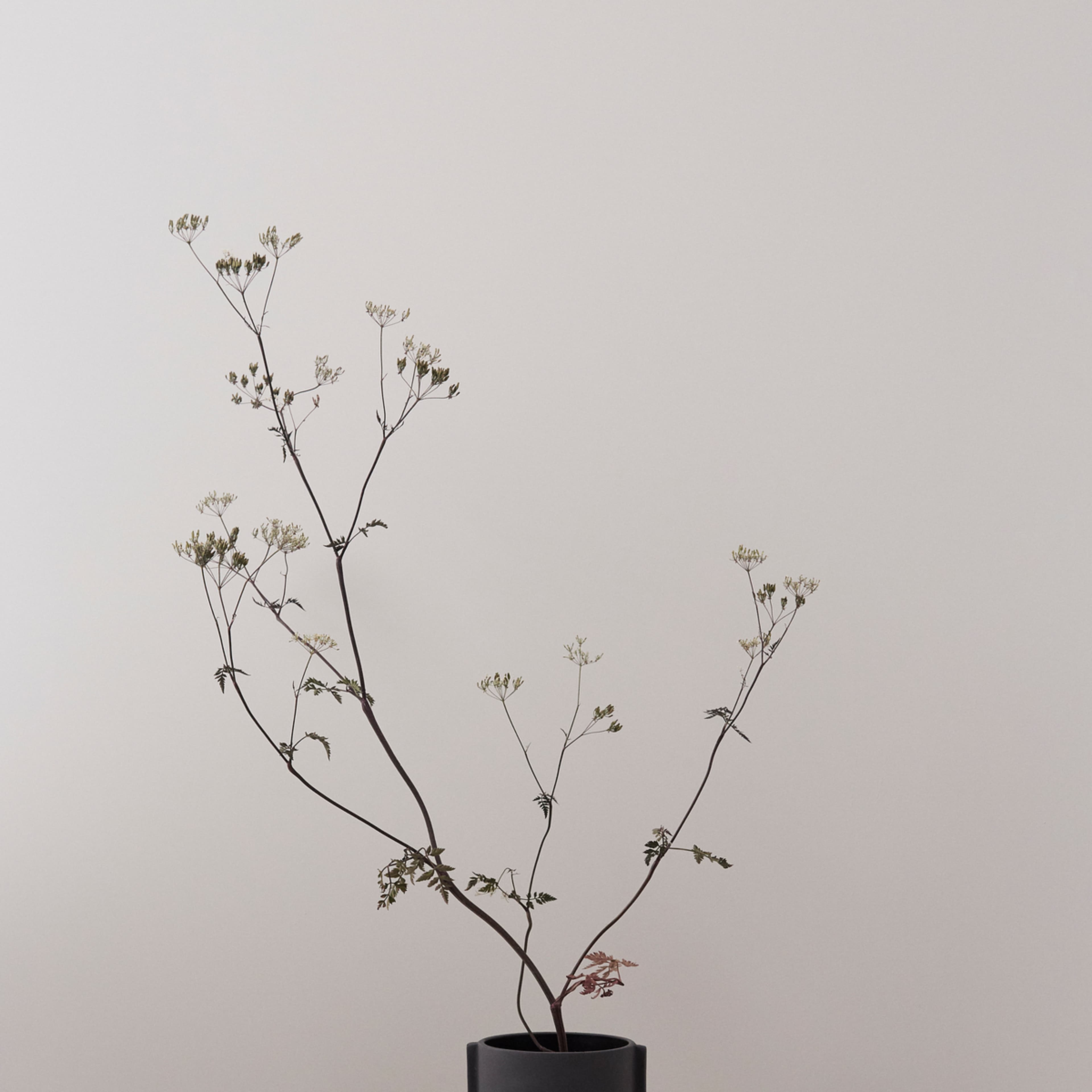 Inka Kana Pot, från OYOY Living, i färgen anthracite. Klicka för att öppna bilden i stort format