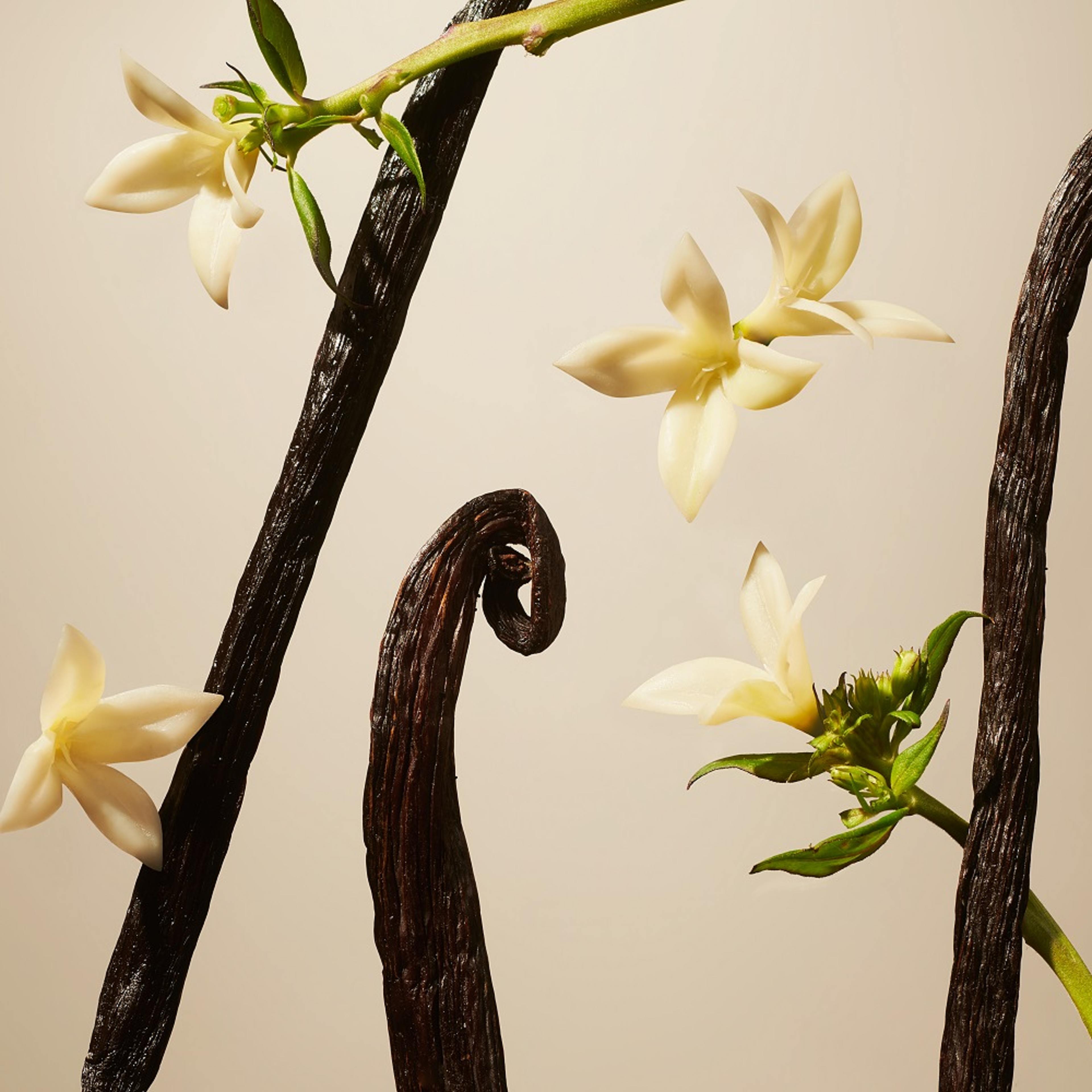 Suede Vanilla Fragrance Sticks Refill, från Rituals. Klicka för att öppna bilden i stort format
