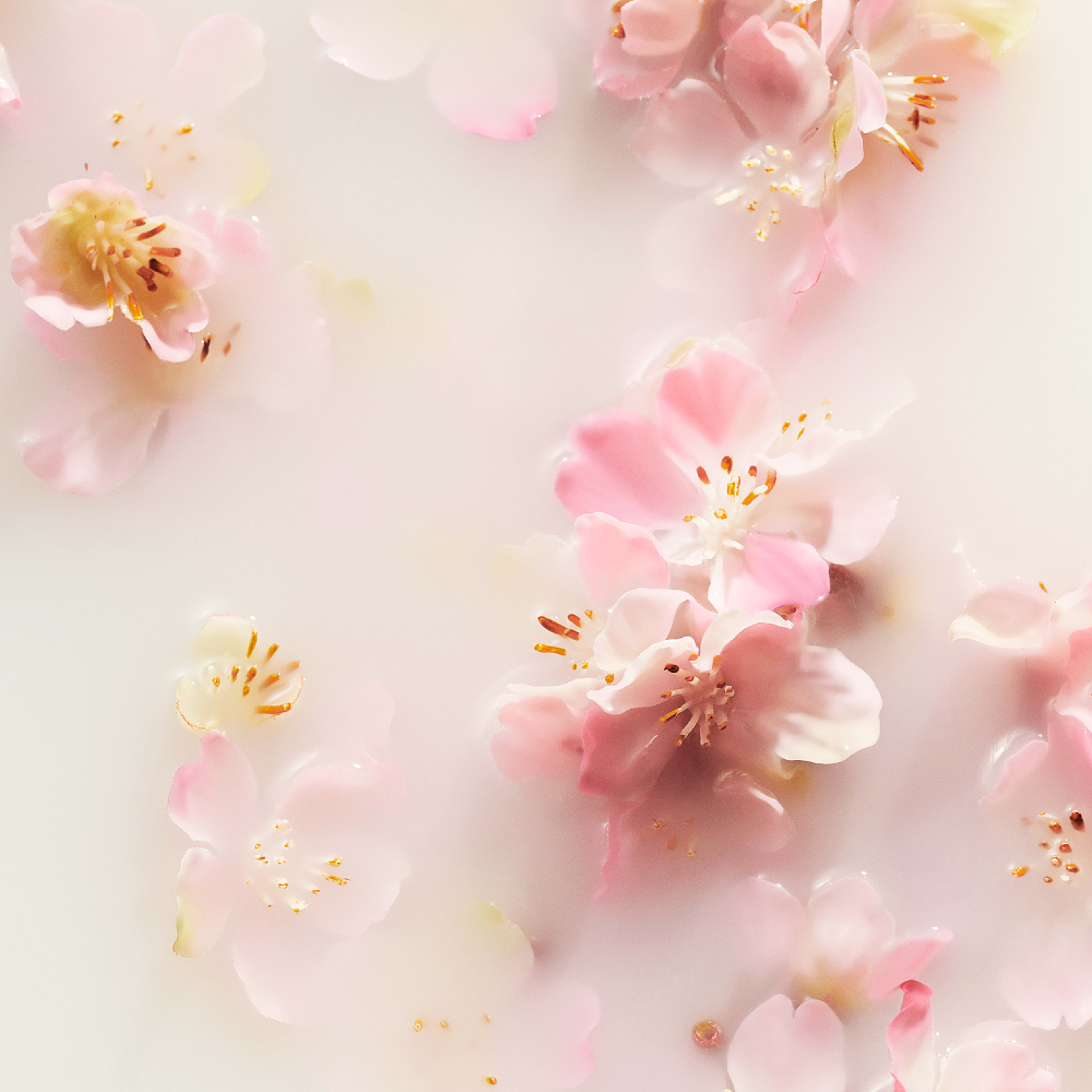 The Ritual of Sakura Shampoo & Body Bar