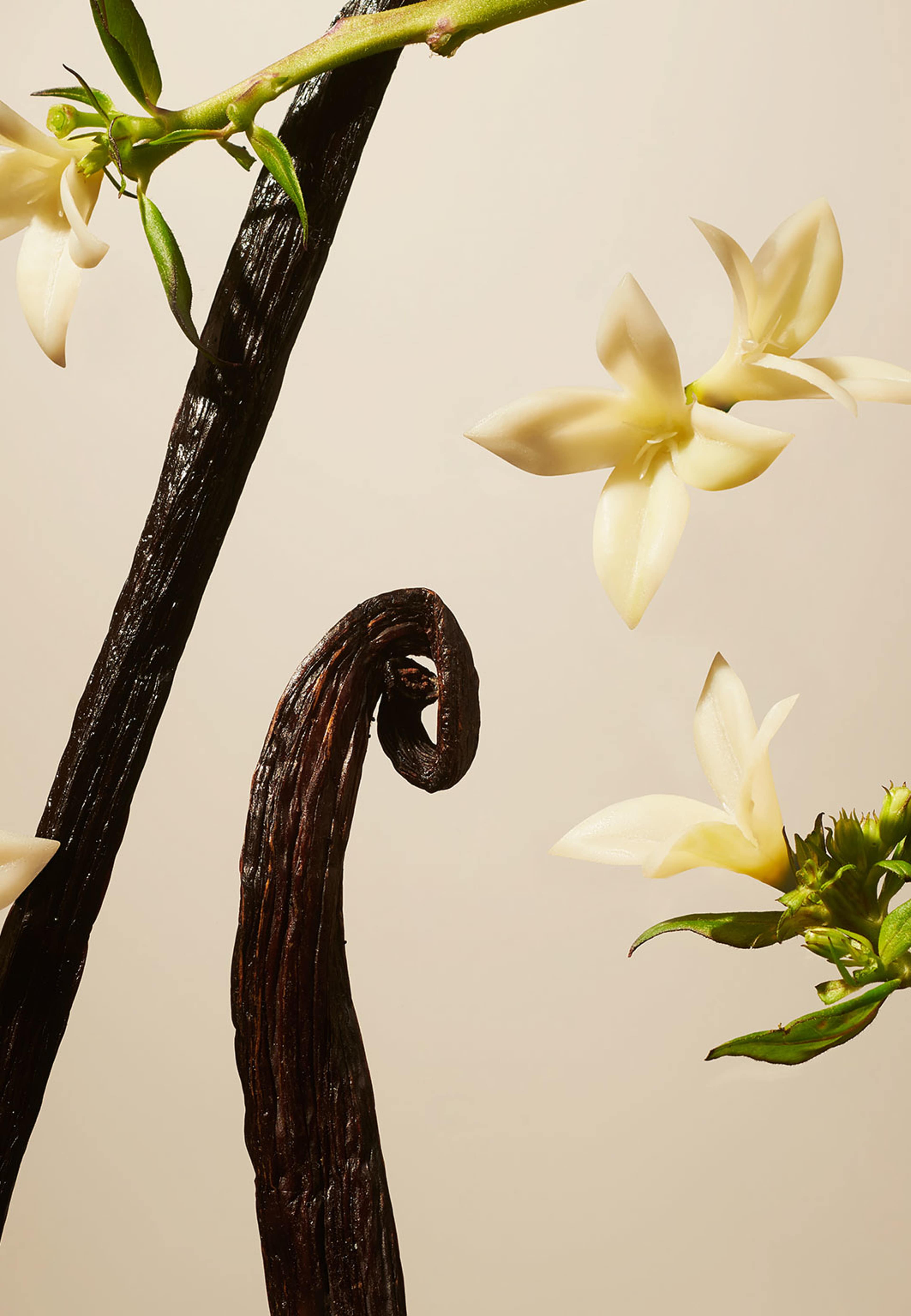 Suede Vanilla Refill Fragrance Sticks 900ml