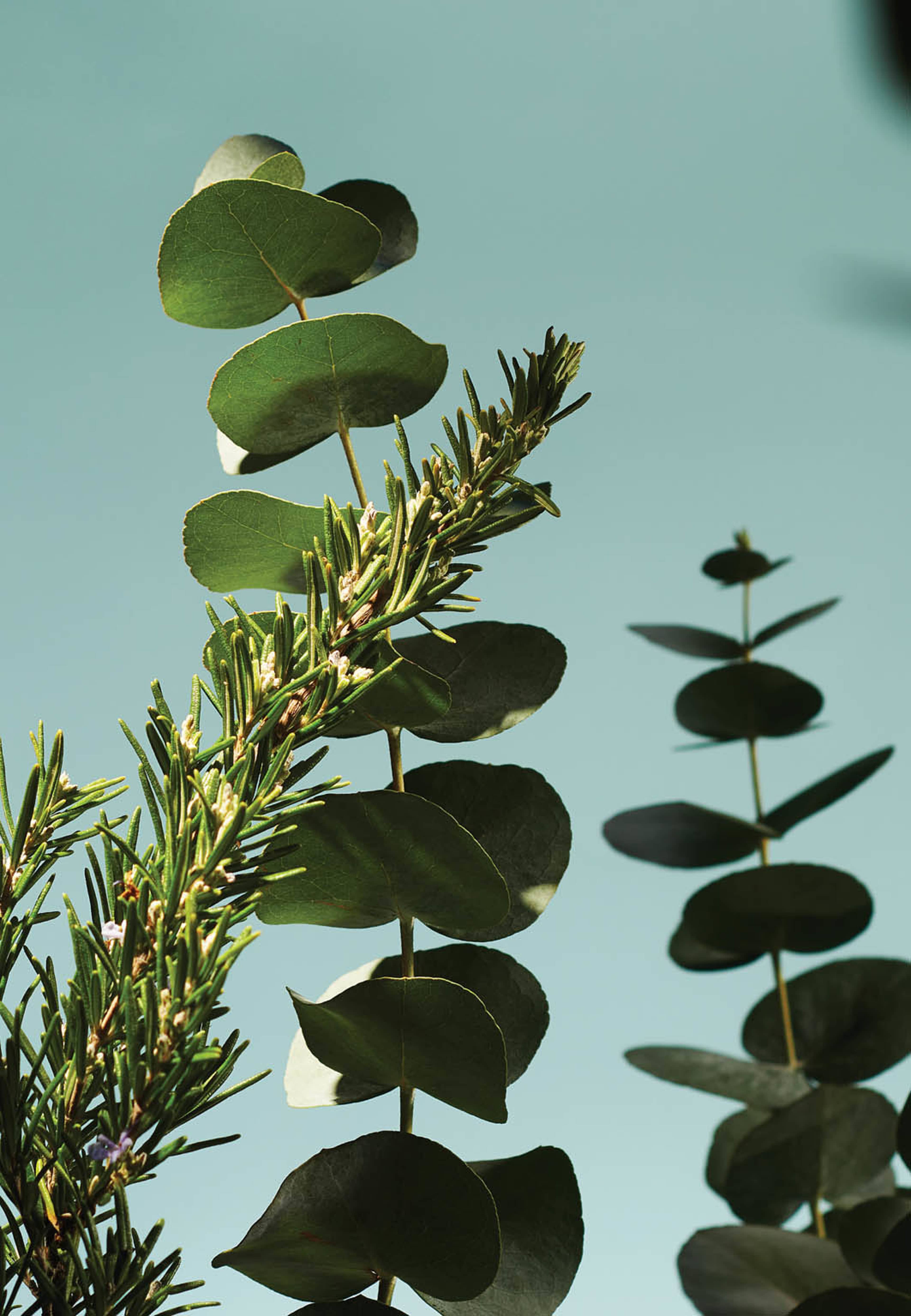 The Ritual of Hammam Hand Wash, från Rituals. Klicka för att öppna bilden i stort format