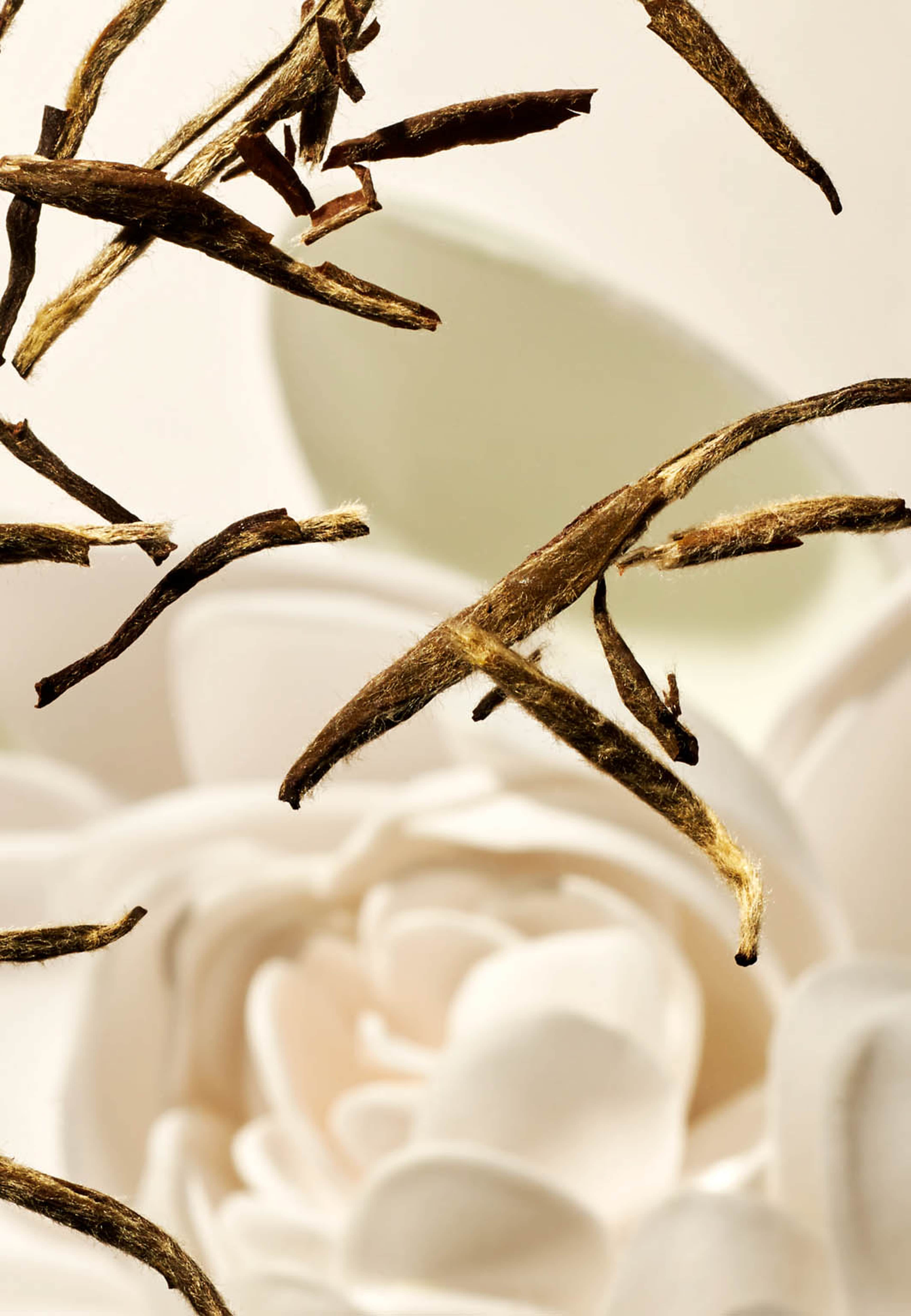 The Ritual of Karma Hand Wash, från Rituals. Klicka för att öppna bilden i stort format