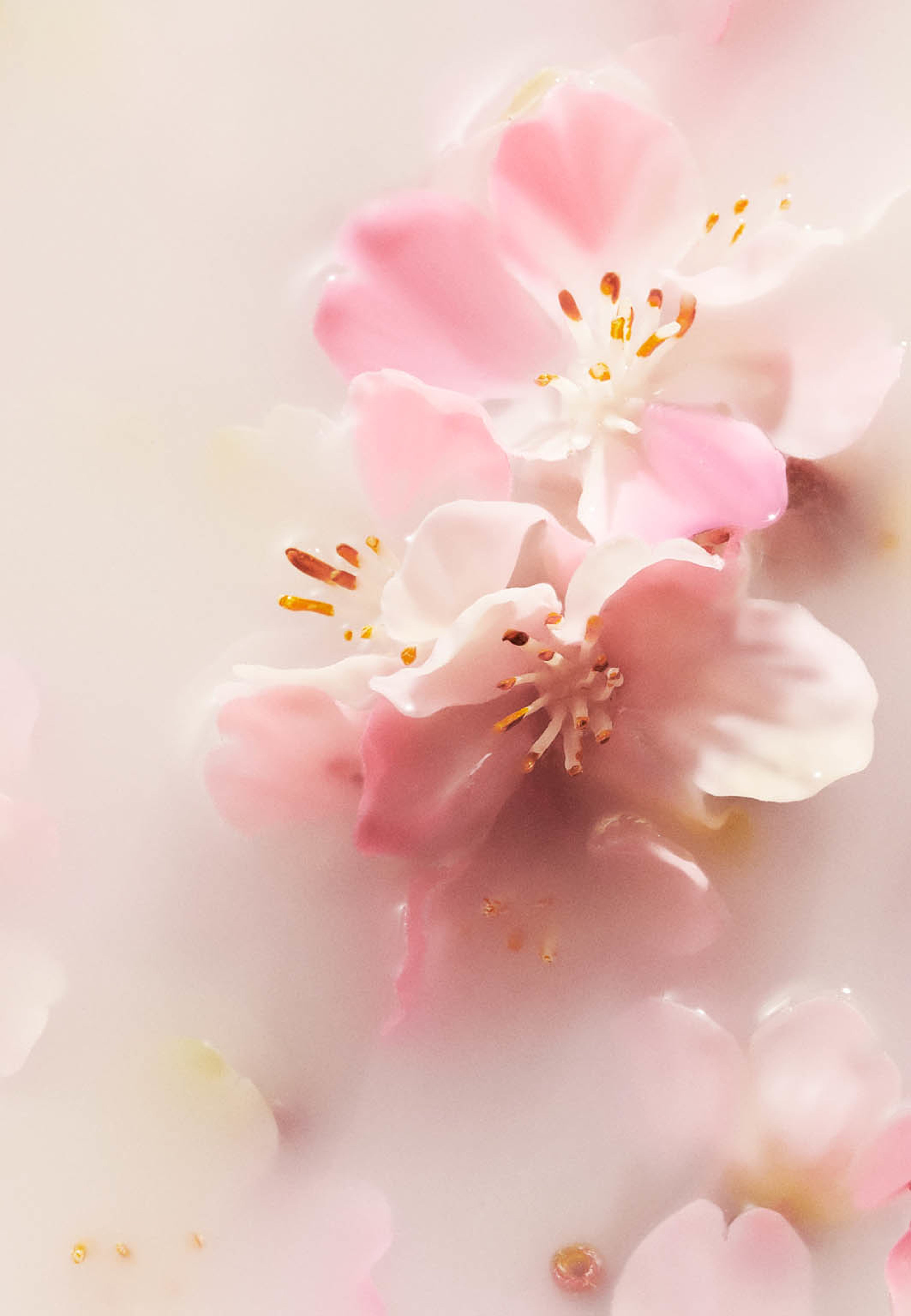 The Ritual of Sakura Whipped Body Cream, från Rituals.