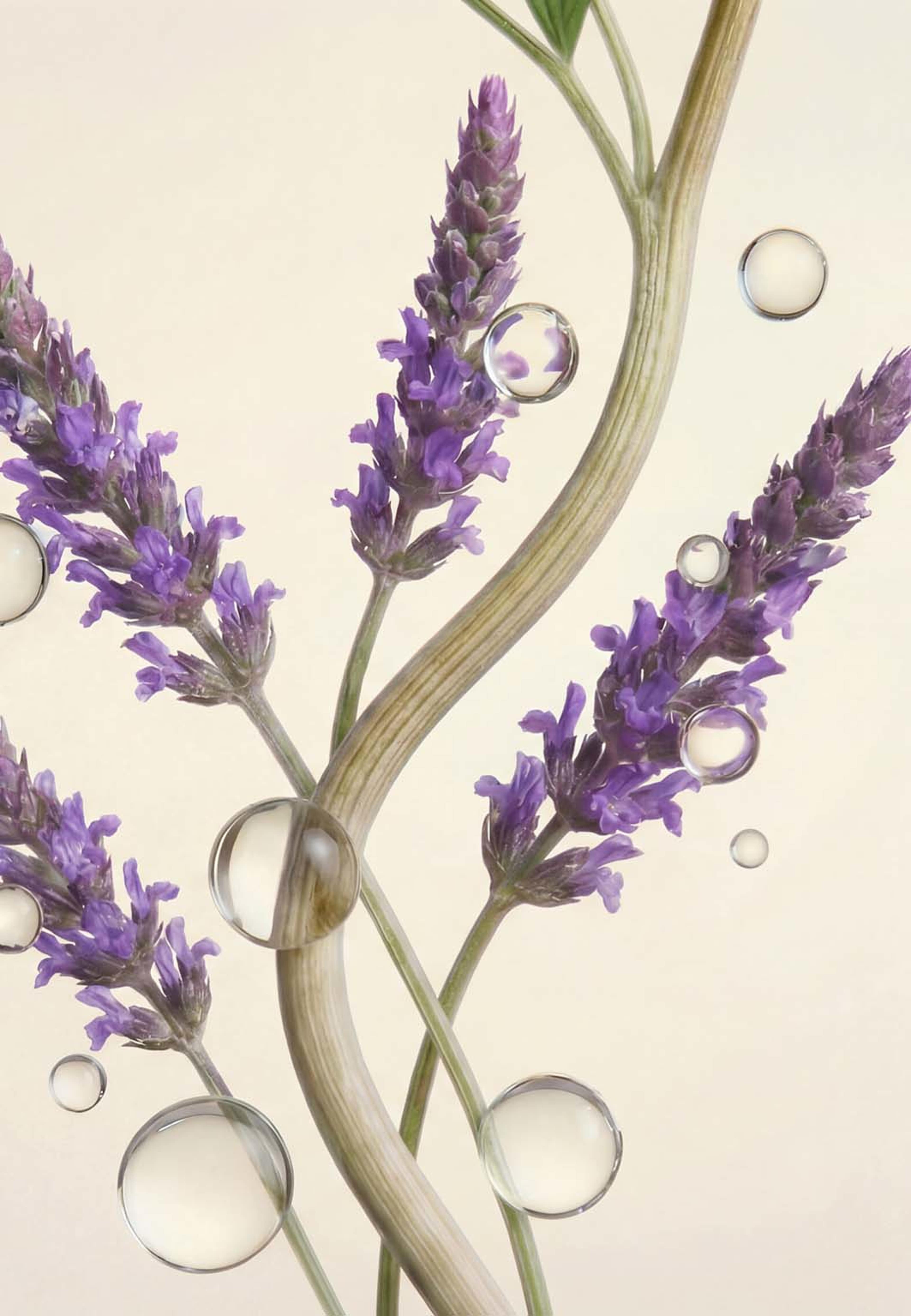 Anti-Ageing Lightweight Moisturiser, från Rituals. Klicka för att öppna bilden i stort format