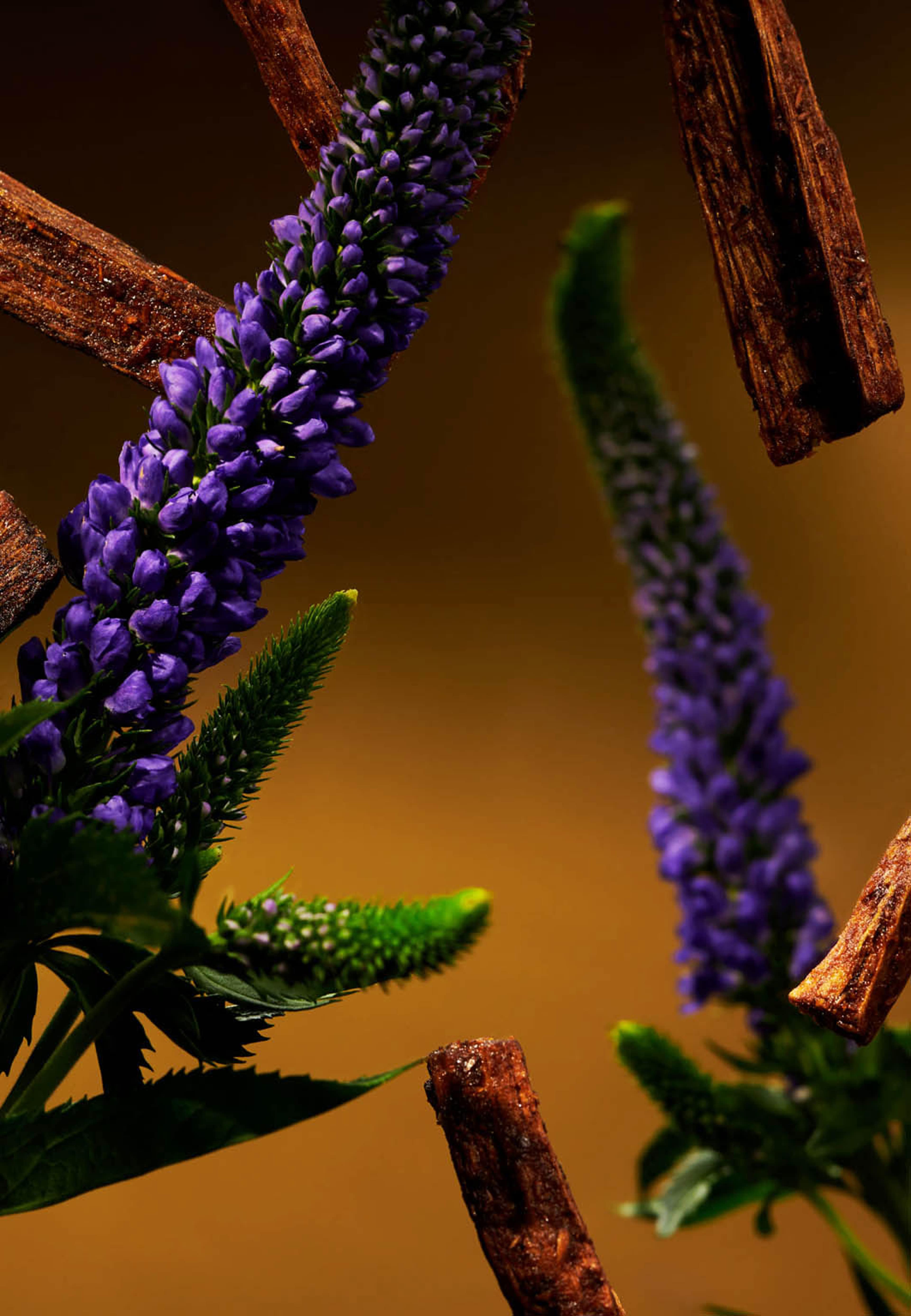 Velvet Oudh Home Perfume, från Rituals. Klicka för att öppna bilden i stort format