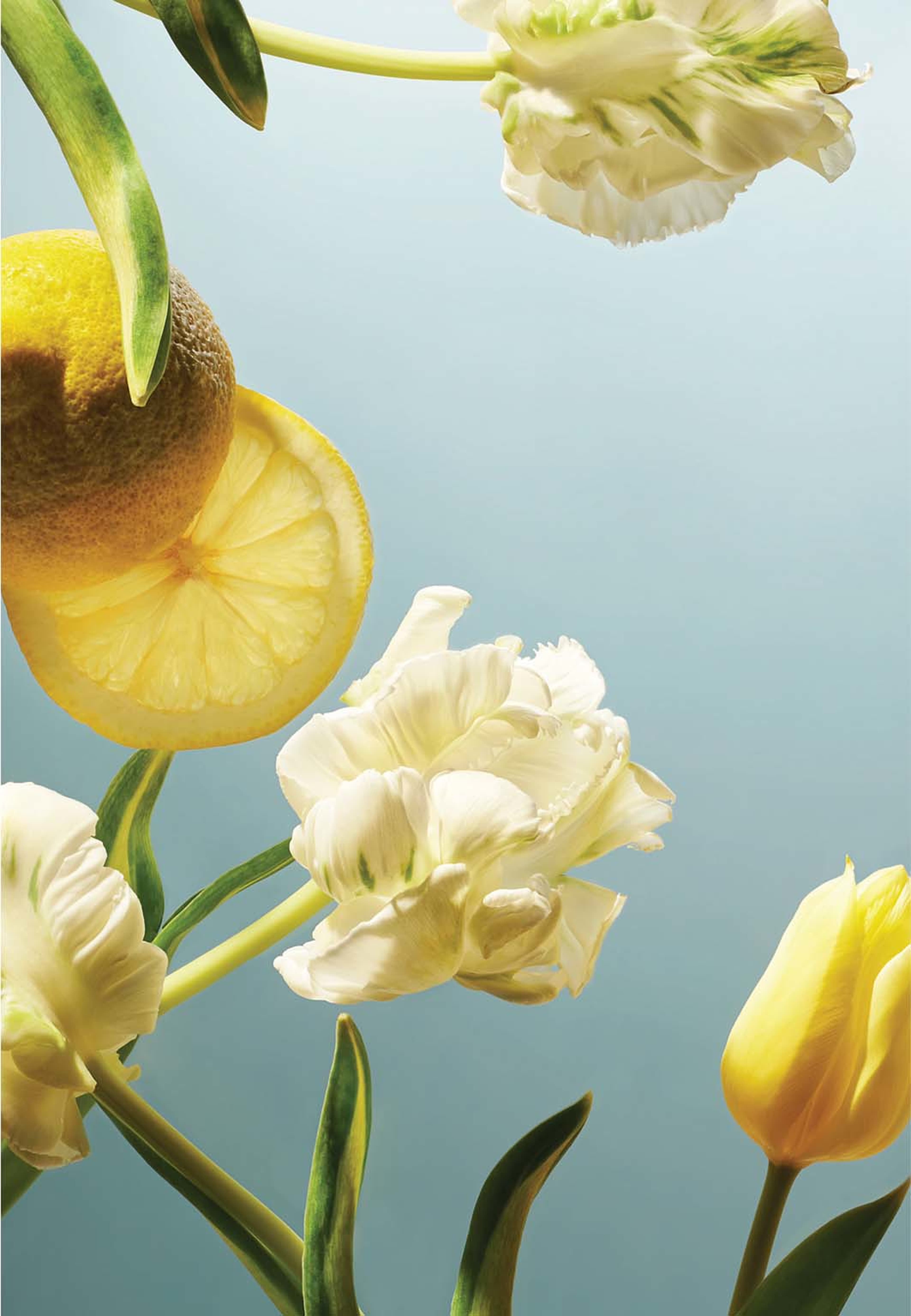 Easter Giftset - Amsterdam Collection 2026, från Rituals. Klicka för att öppna bilden i stort format