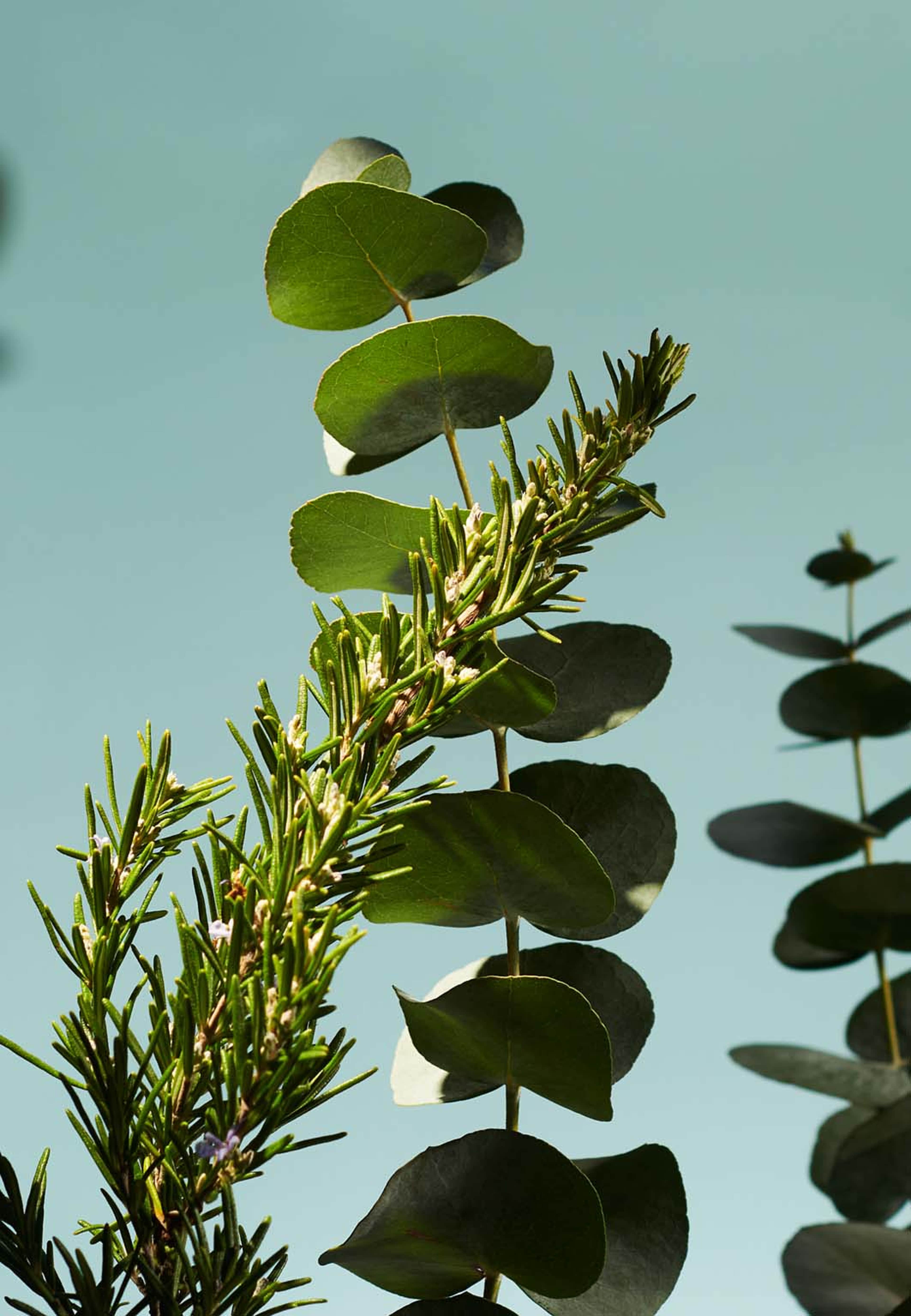 The Ritual of Hammam Massage Body Oil, från Rituals. Klicka för att öppna bilden i stort format