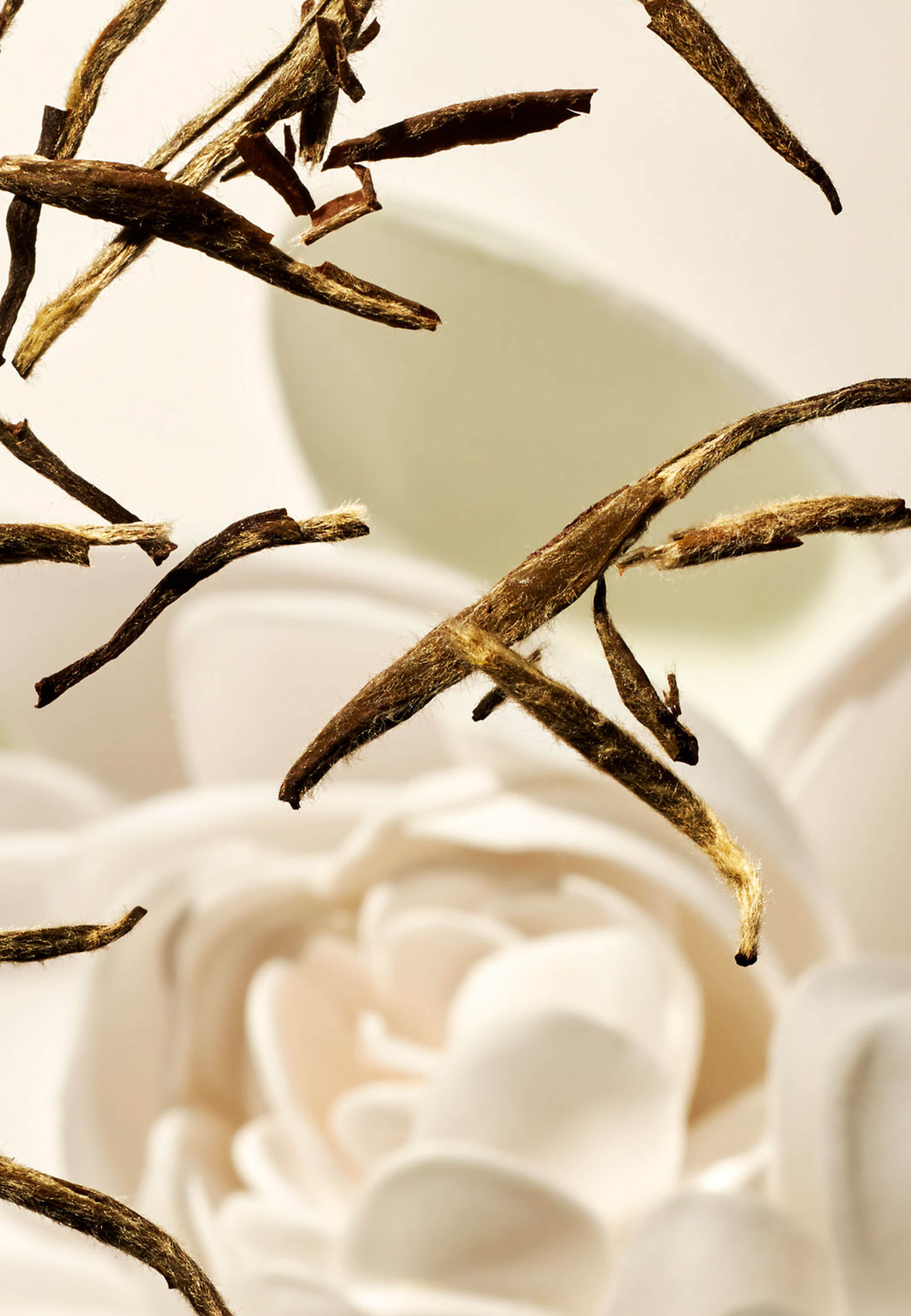 The Ritual of Karma Hand Wash Refill, från Rituals. Klicka för att öppna bilden i stort format