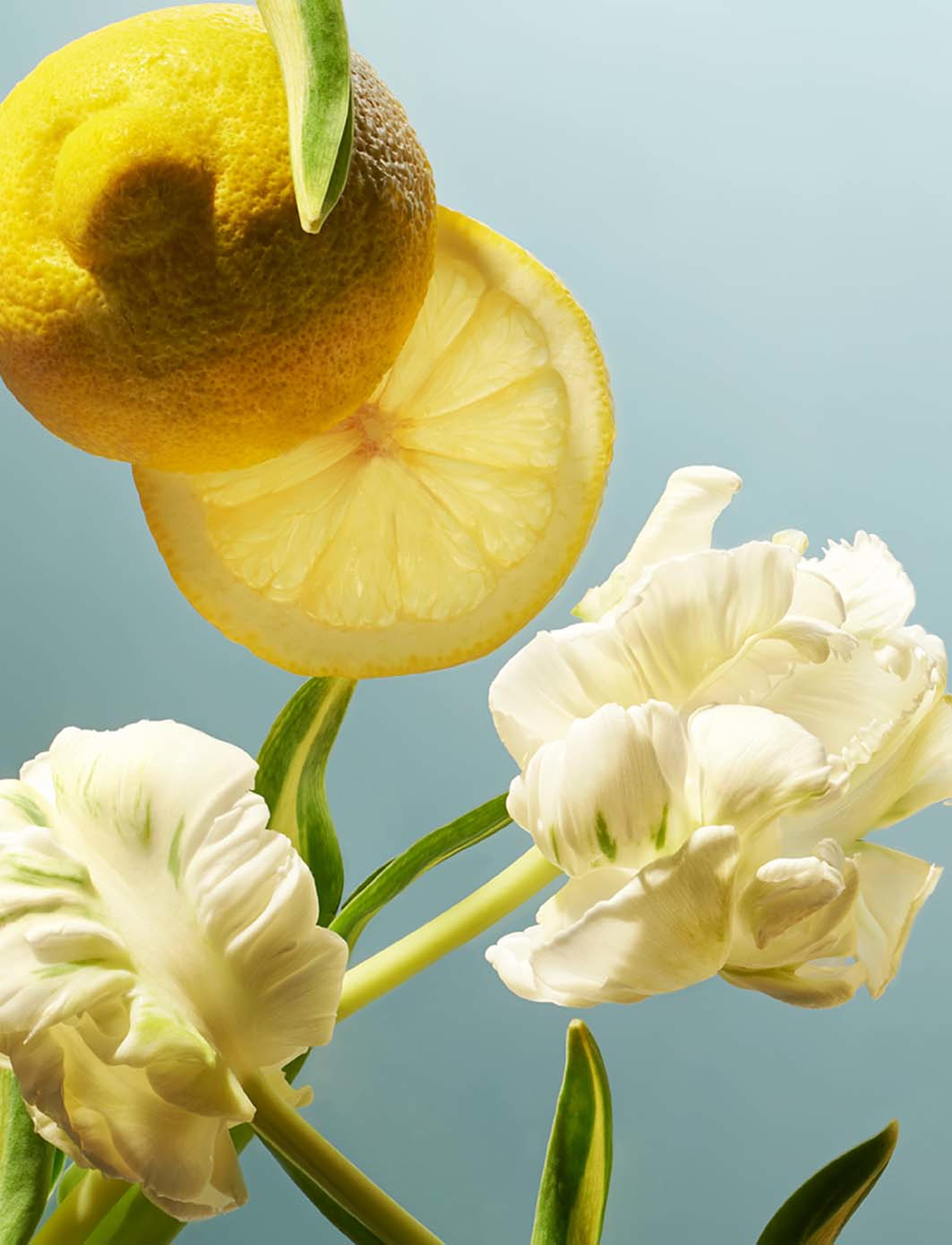 Amsterdam Collection Hand Wash Refill, från Rituals. Klicka för att öppna bilden i stort format