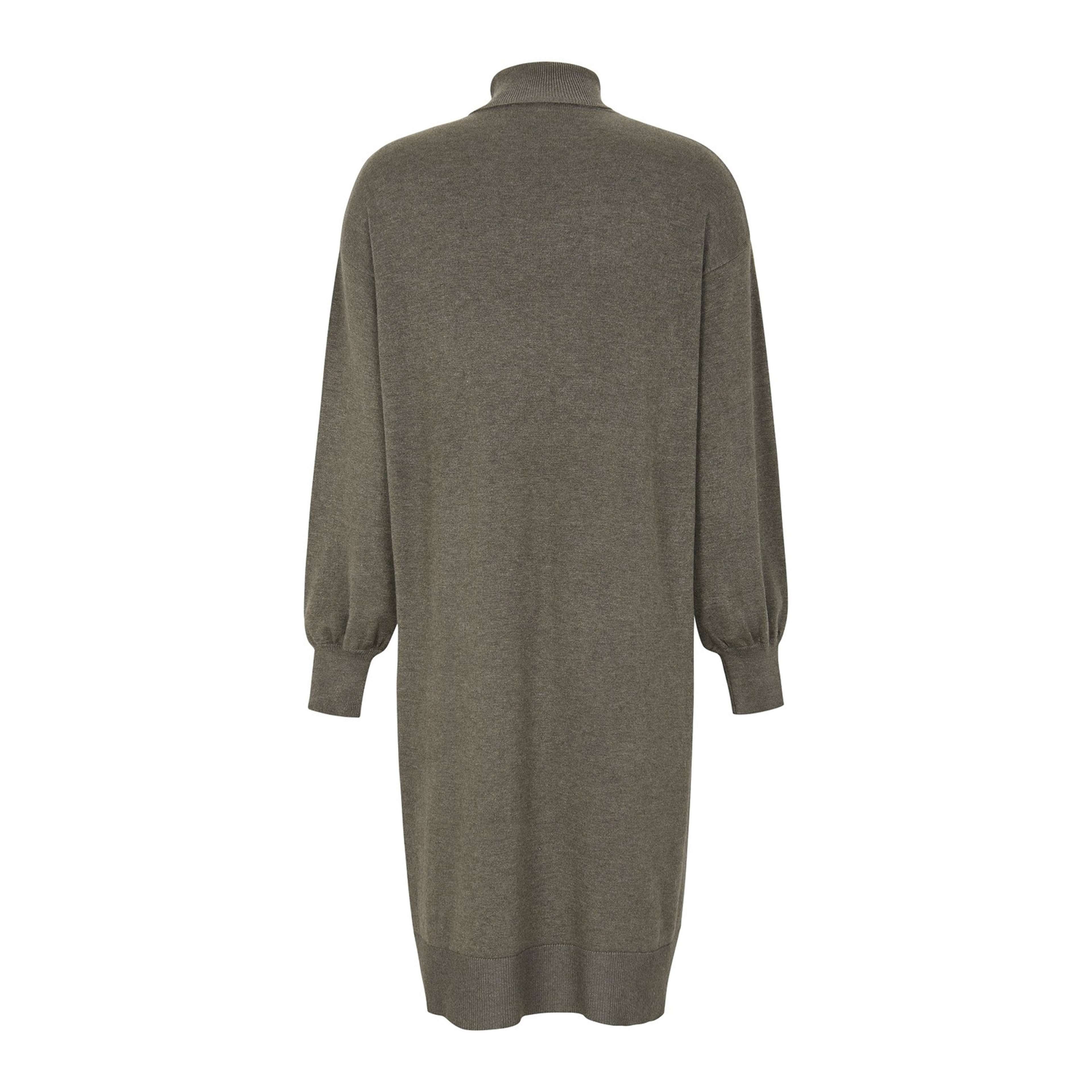 Srlea Rollneck Dress Knit