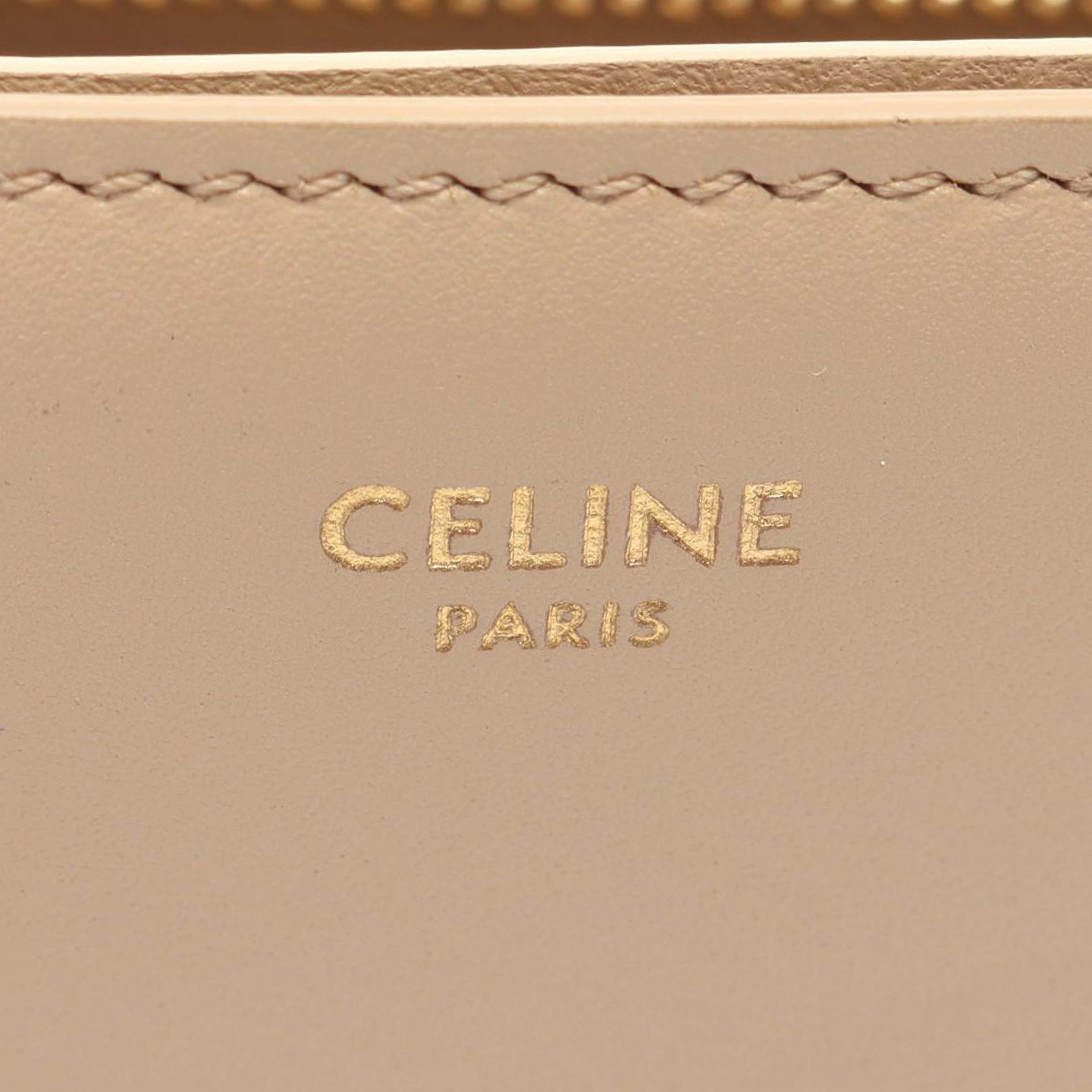 Celine Medium Leather Triomphe Frame Crossbody