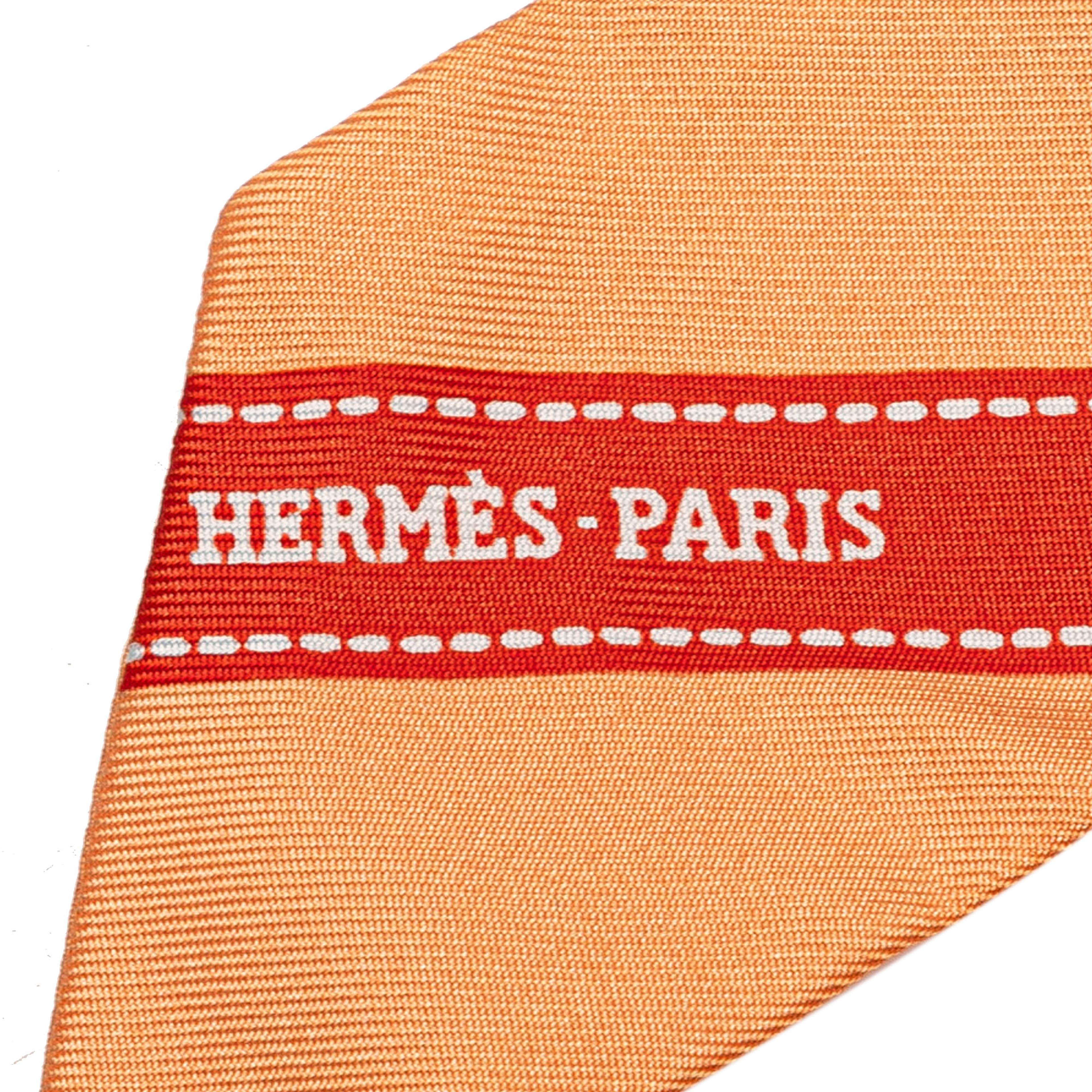 Hermès Bolduc Silk Twilly Scarf