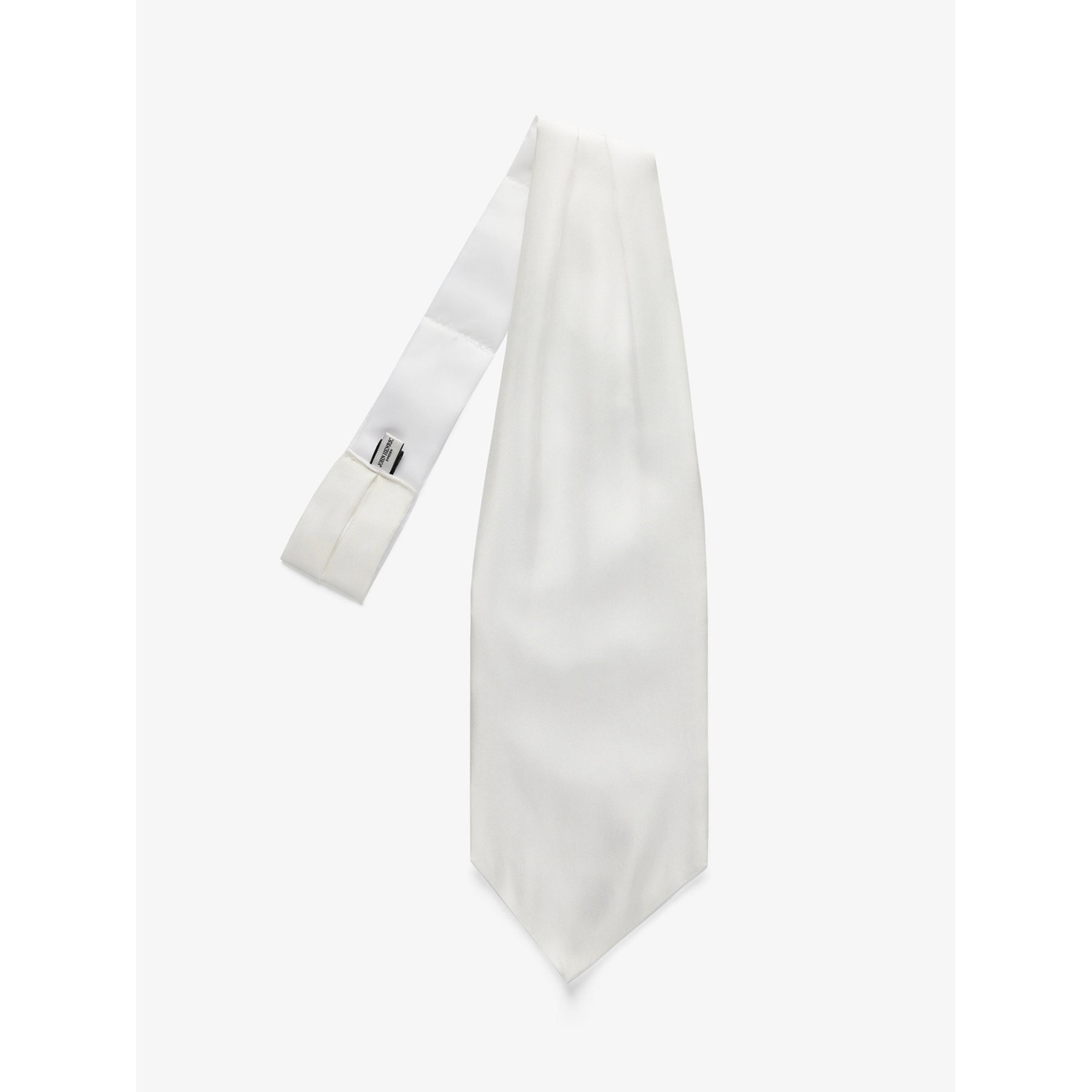 Silk Single Pointed Ascot Plain