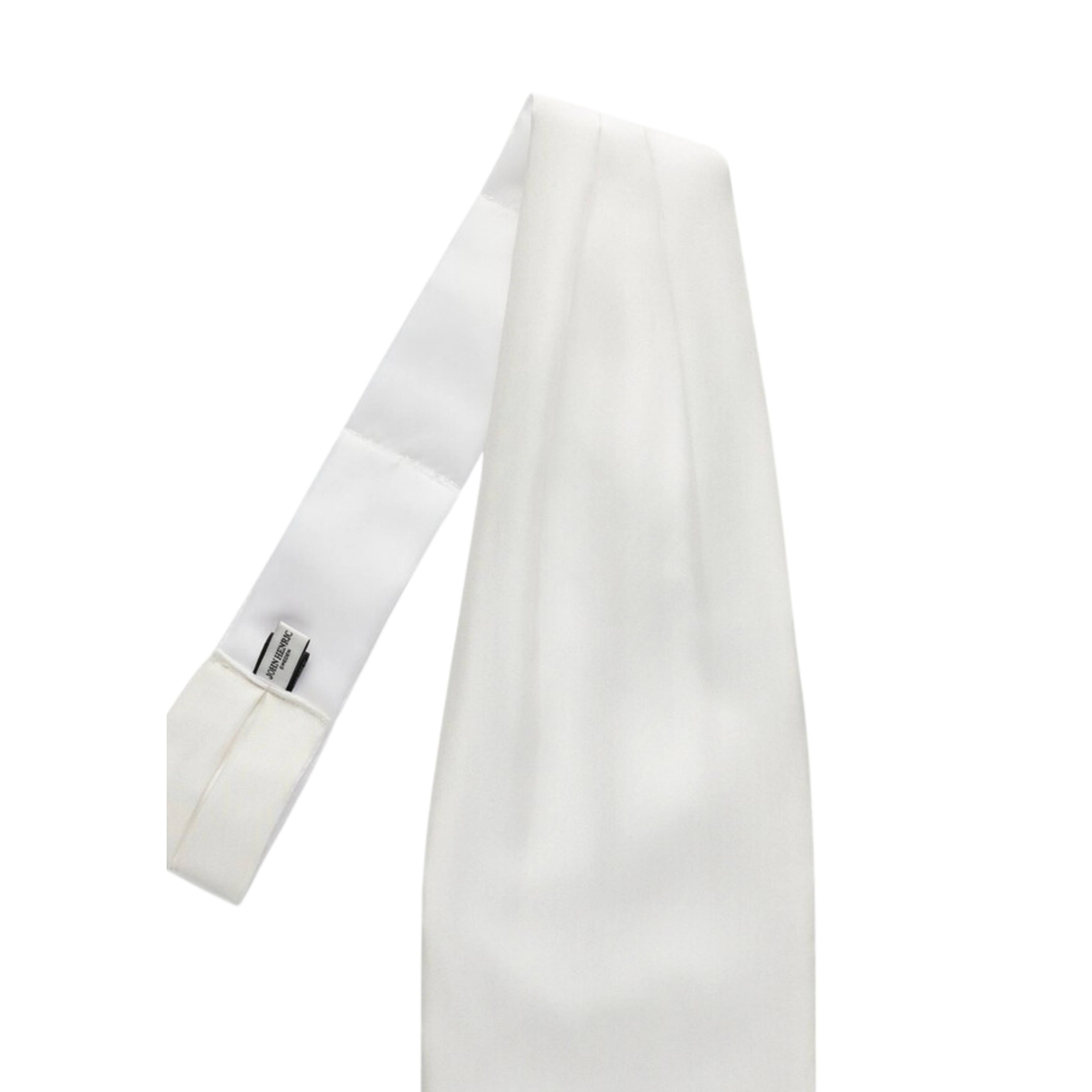 Silk Single Pointed Ascot Plain