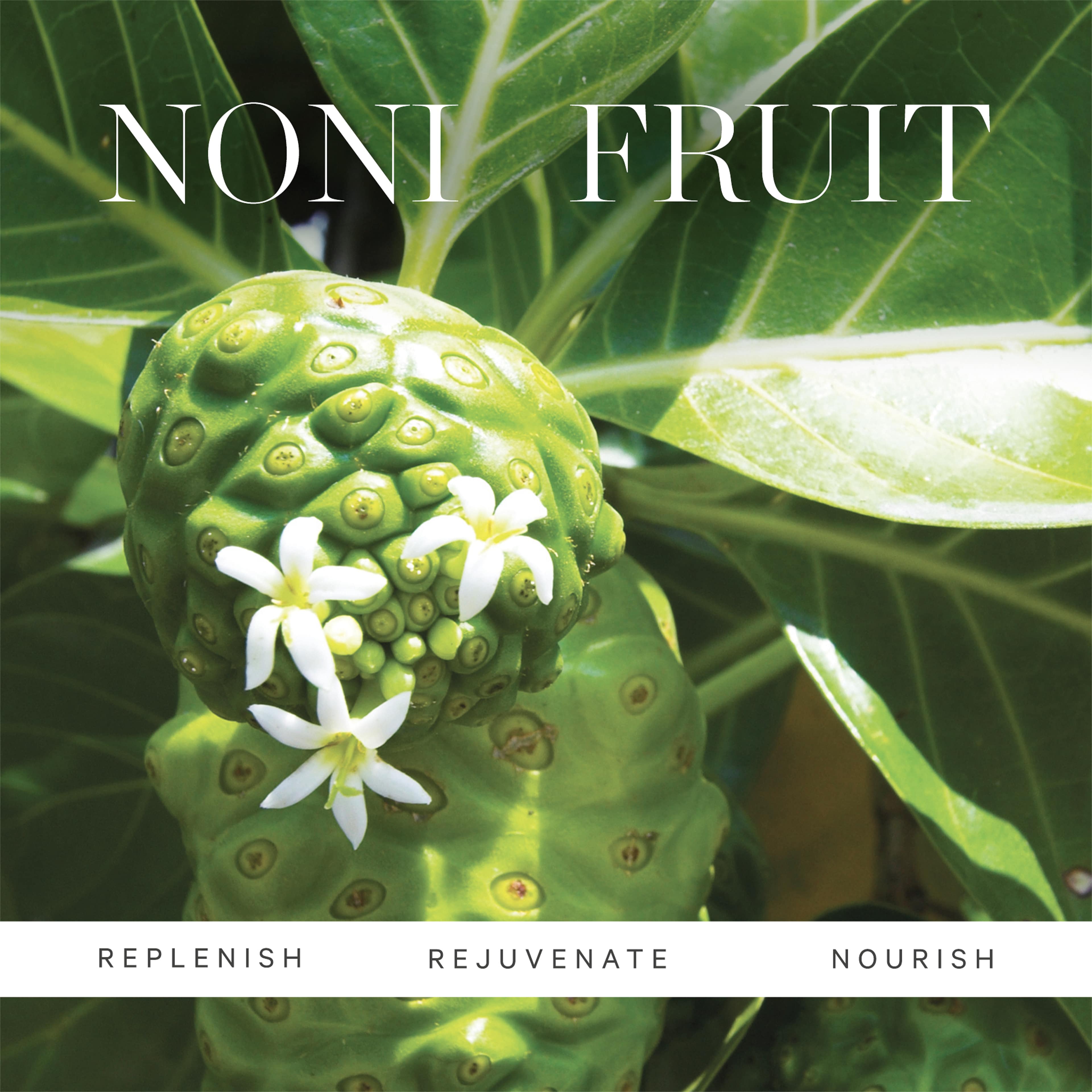 Noni Glow Eye Treatment Oil