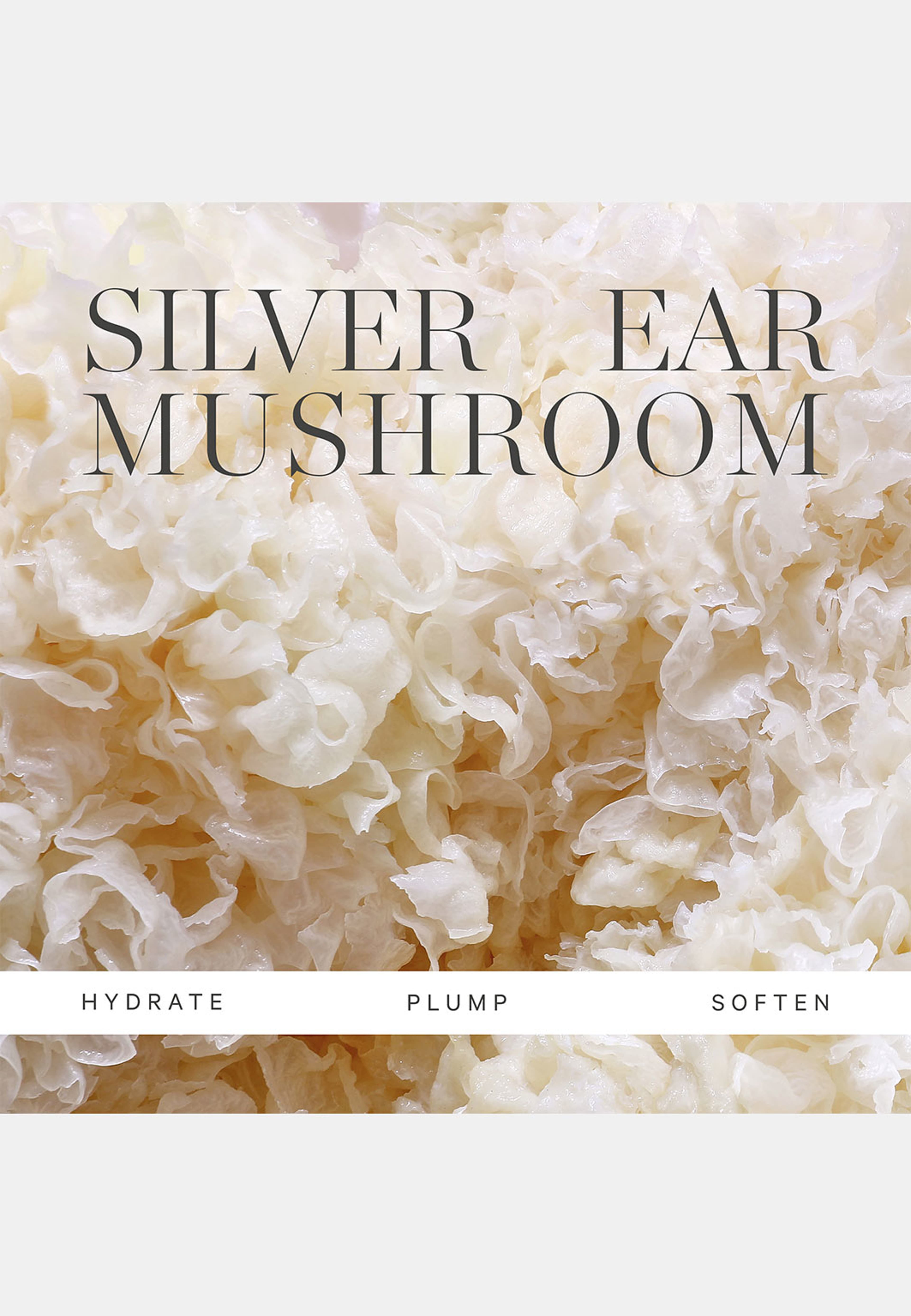 Milky Mushroom Ultra Hydrating Mask