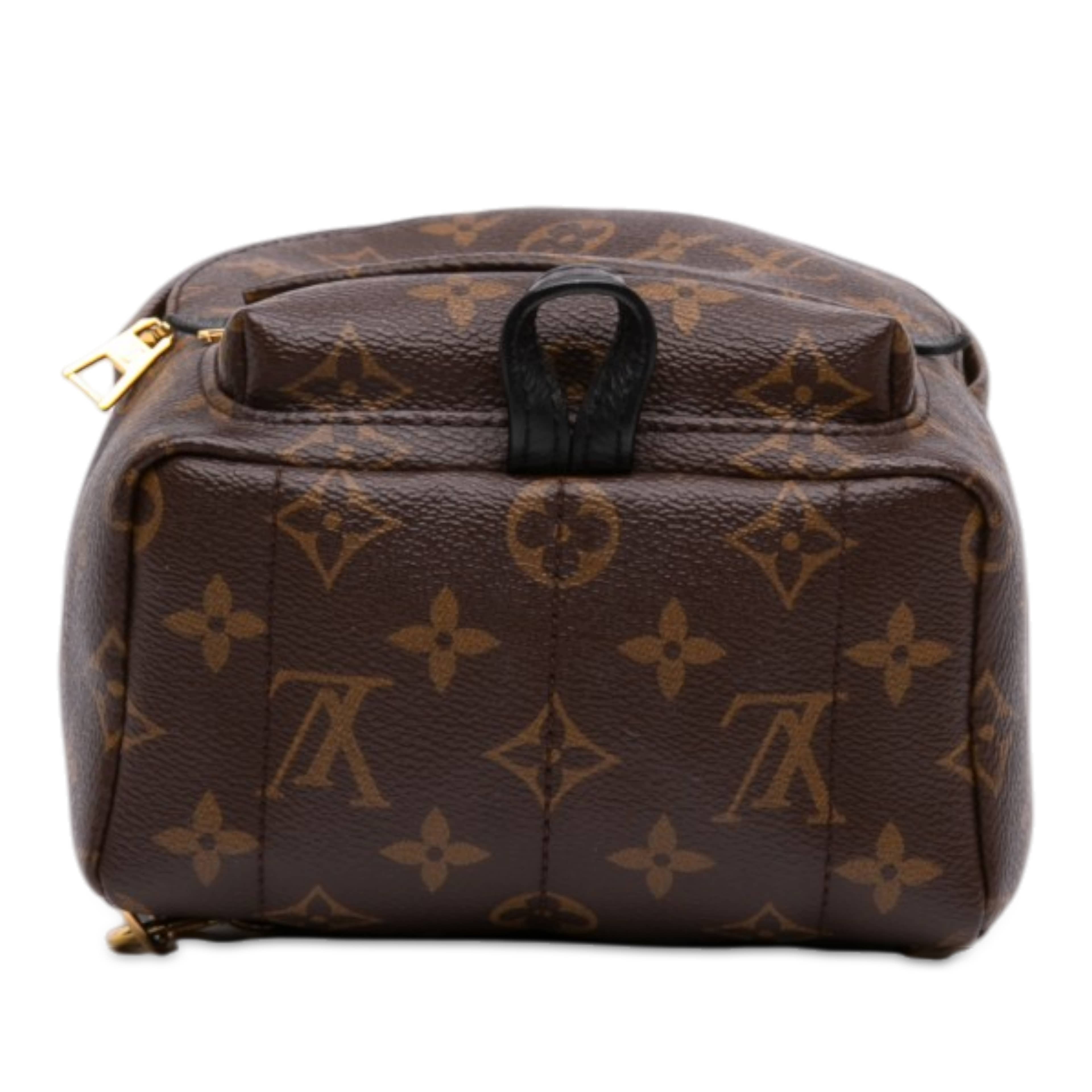 Louis Vuitton Monogram Mini Palm Springs, från Luxclusif, i färgen brun. Klicka för att öppna bilden i stort format