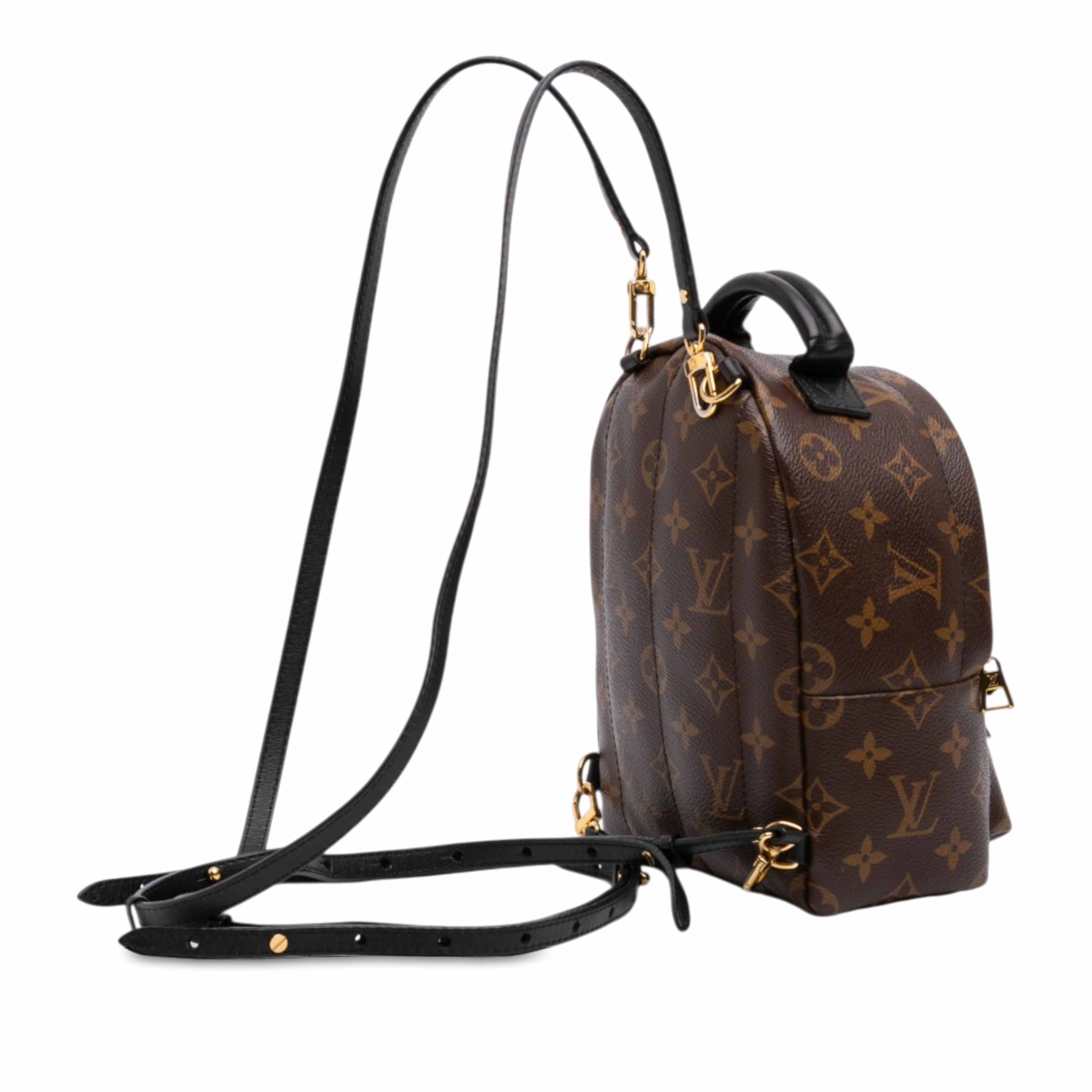 Louis Vuitton Monogram Mini Palm Springs, från Luxclusif, i färgen brun. Klicka för att öppna bilden i stort format