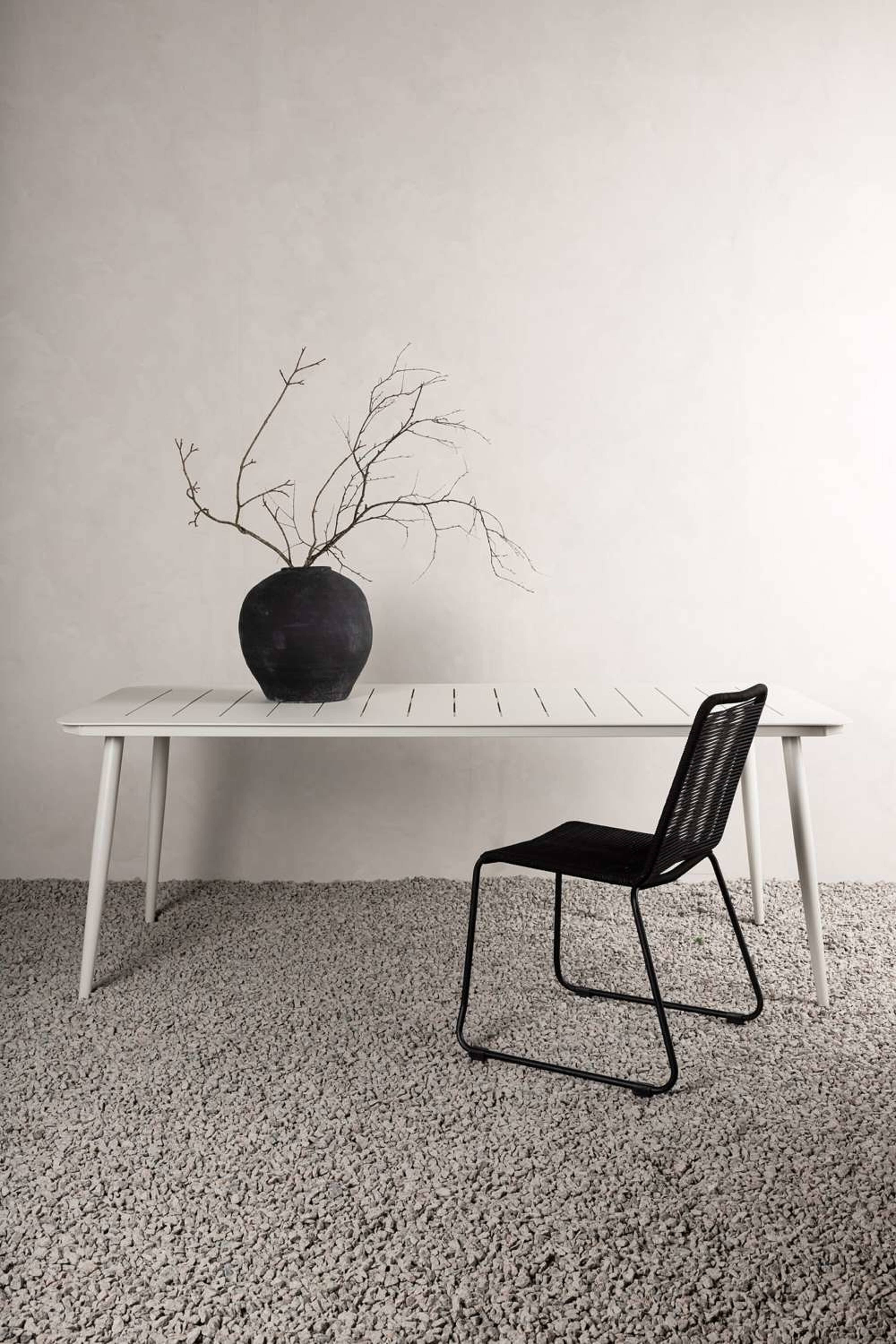 Lina Bord