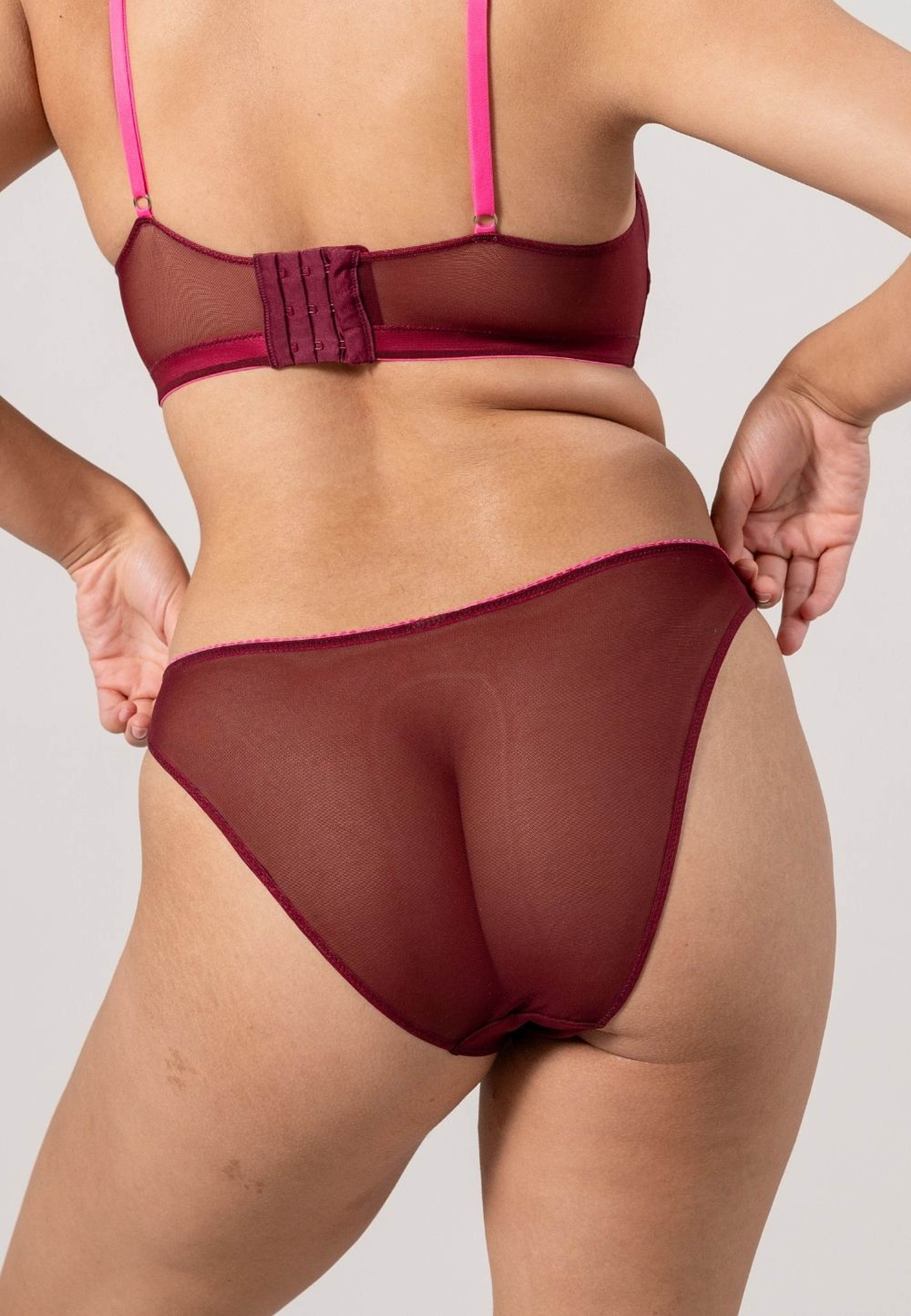 Mesh Bikini Briefs