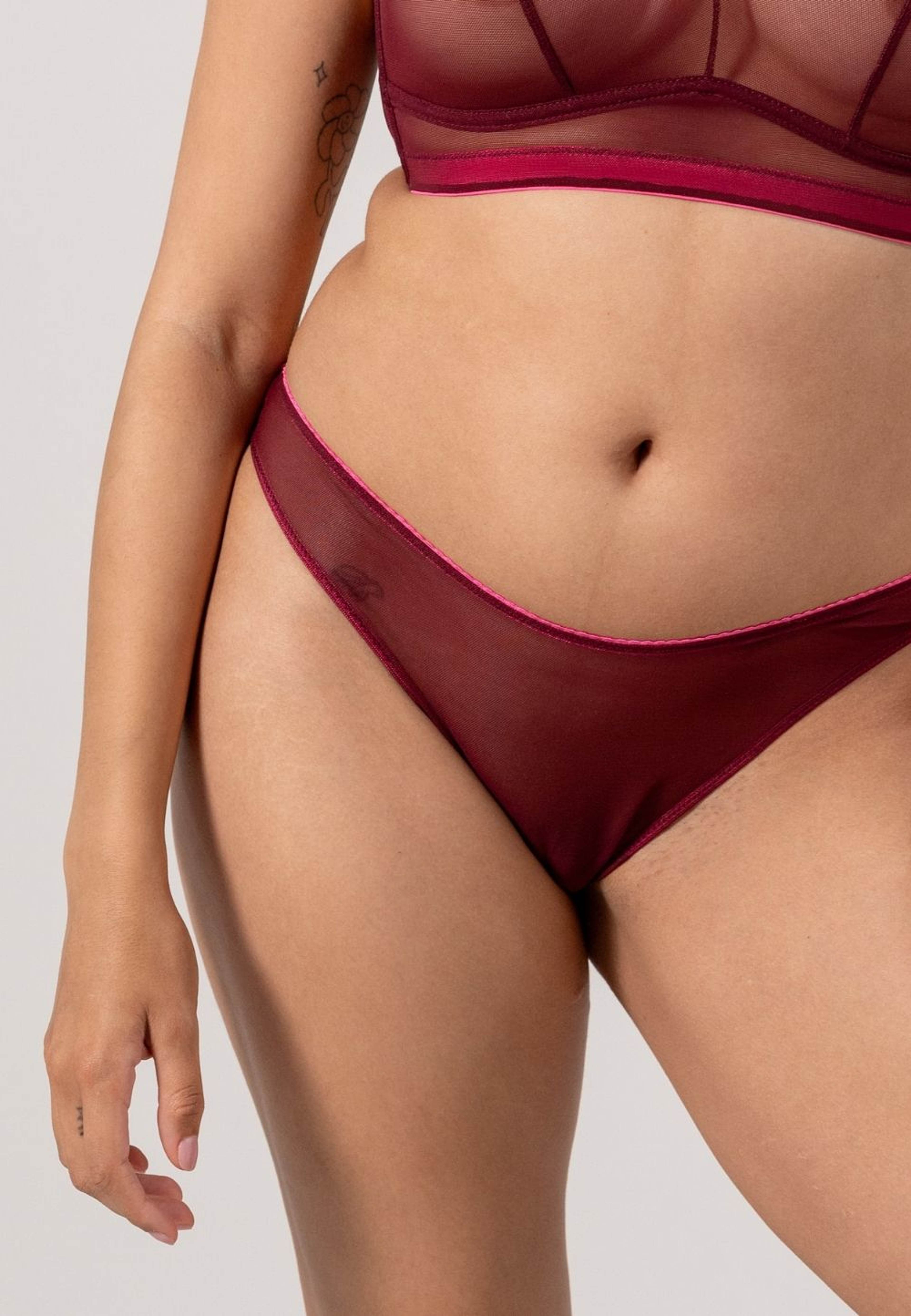 Mesh Bikini Briefs