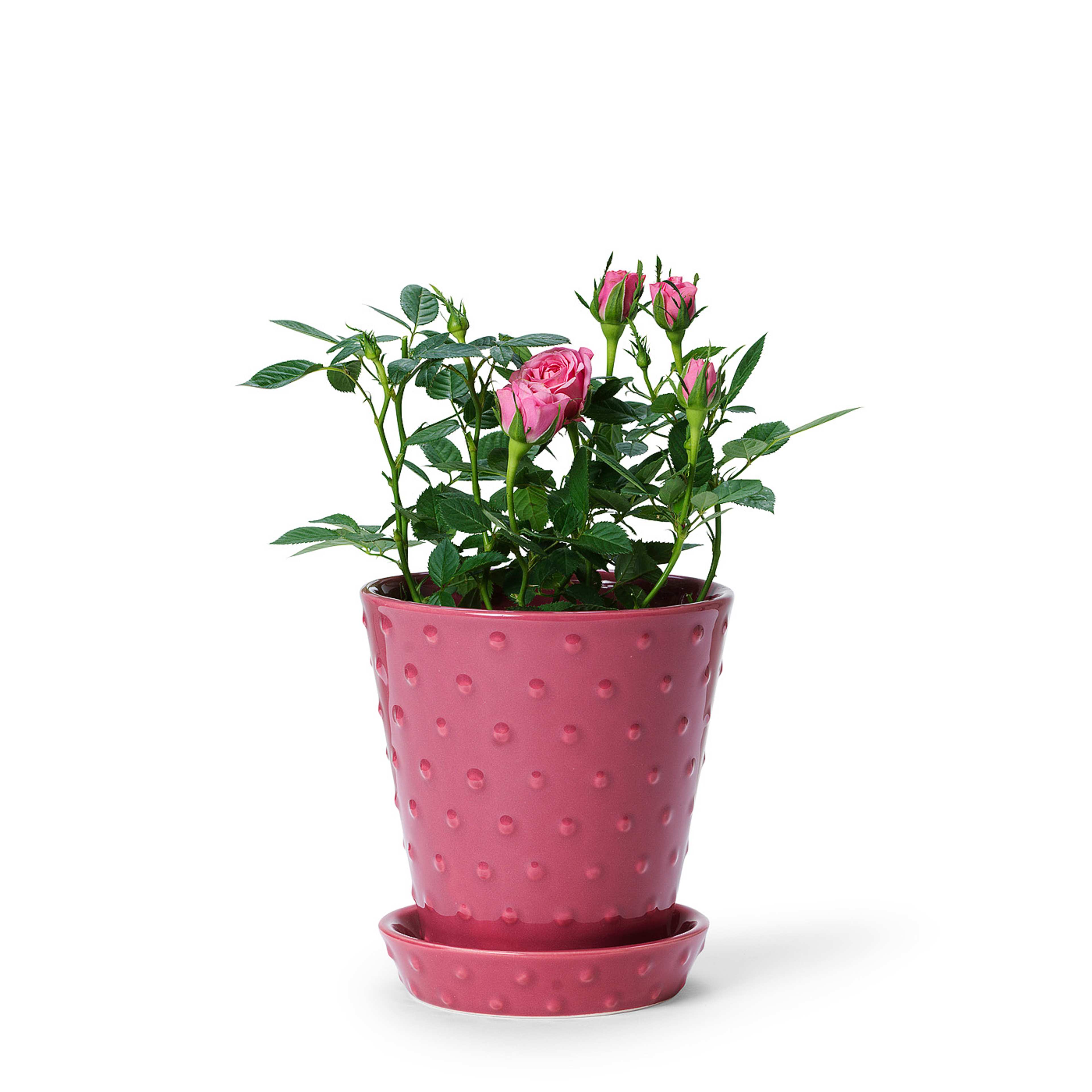 Astrid Blomkruka Och Fat, 15 cm