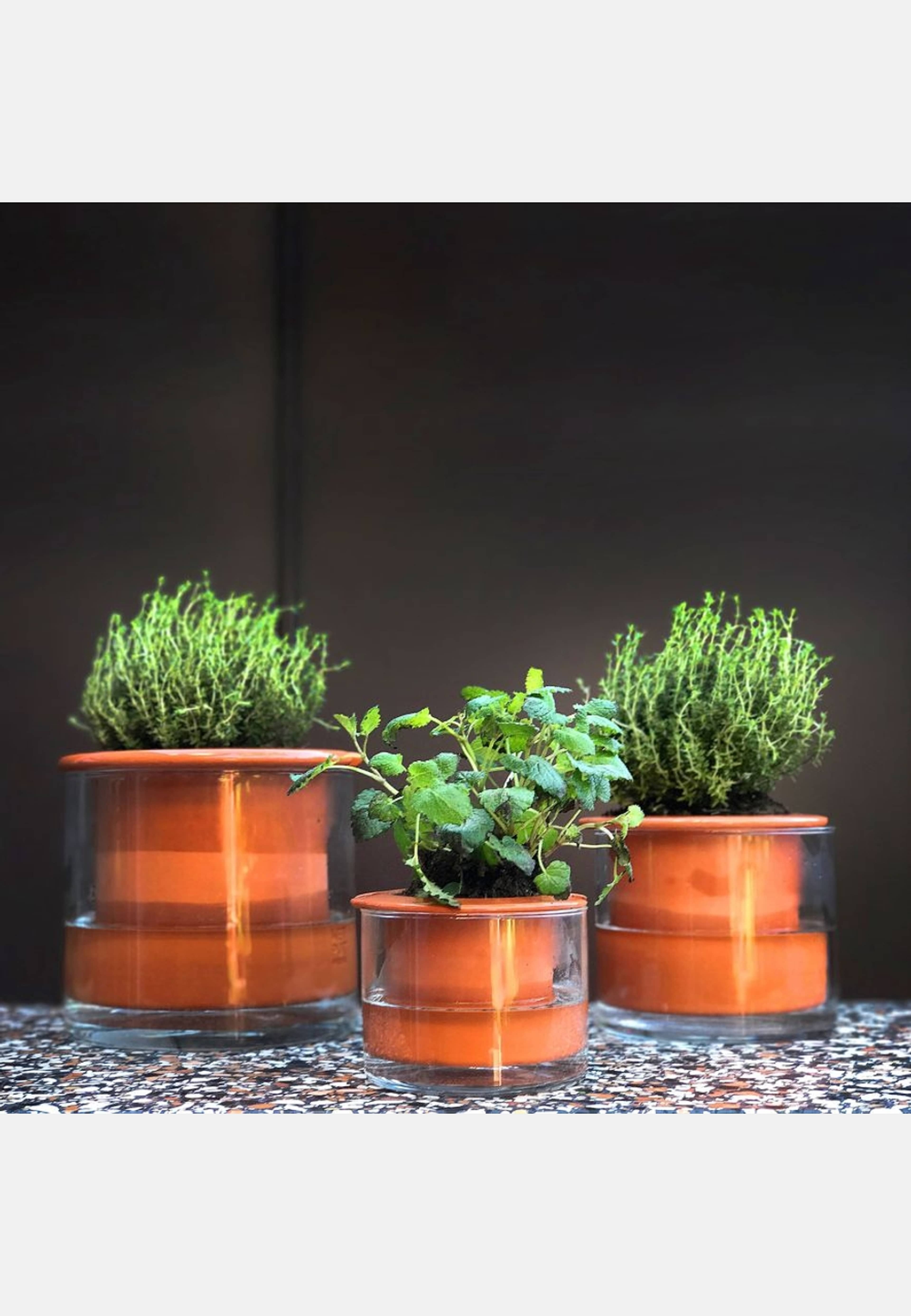 Kruka Wet Pot M, från Wet pot systems, i färgen terracotta. Klicka för att öppna bilden i stort format