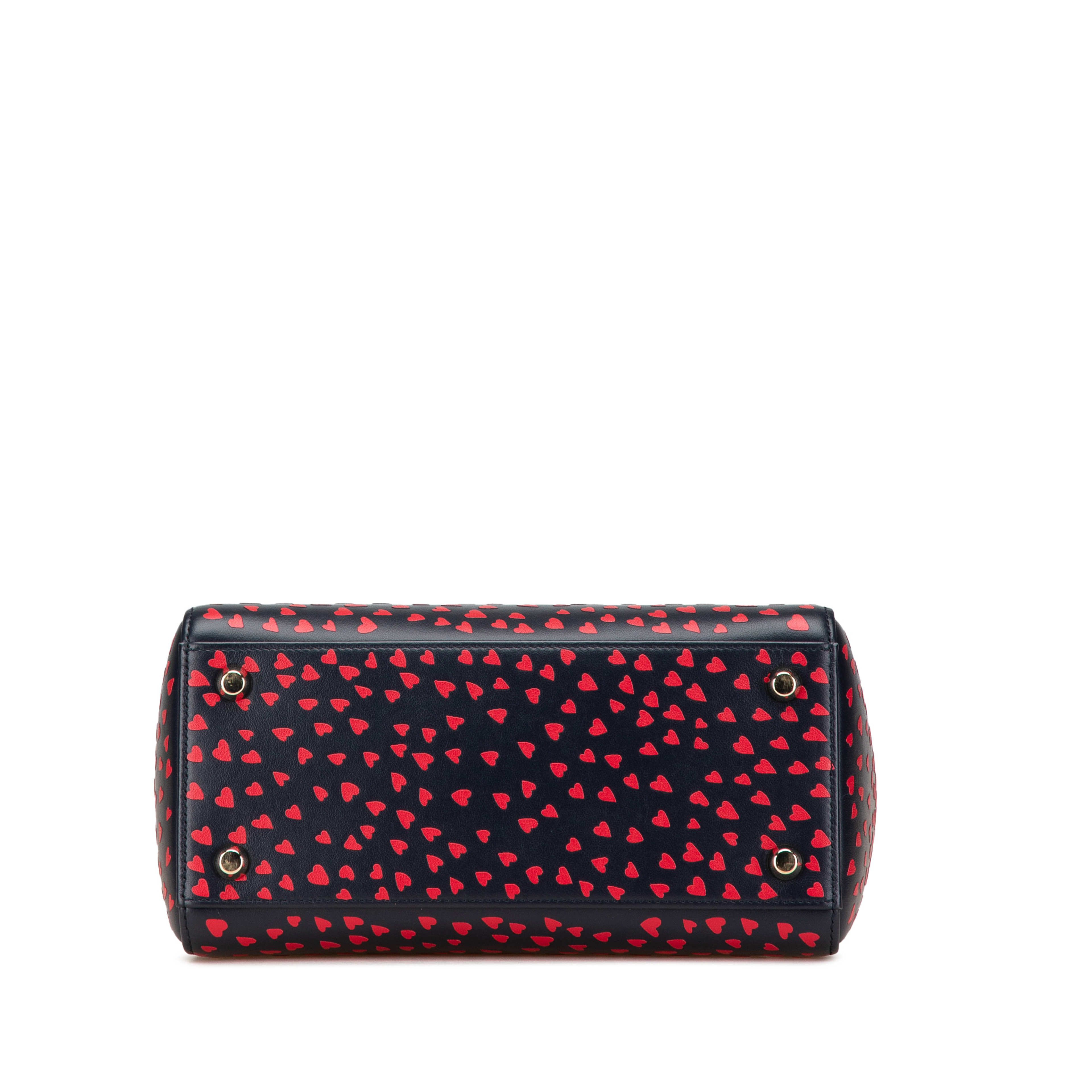 Dior Medium Calfskin I Love Paris Lady Dior