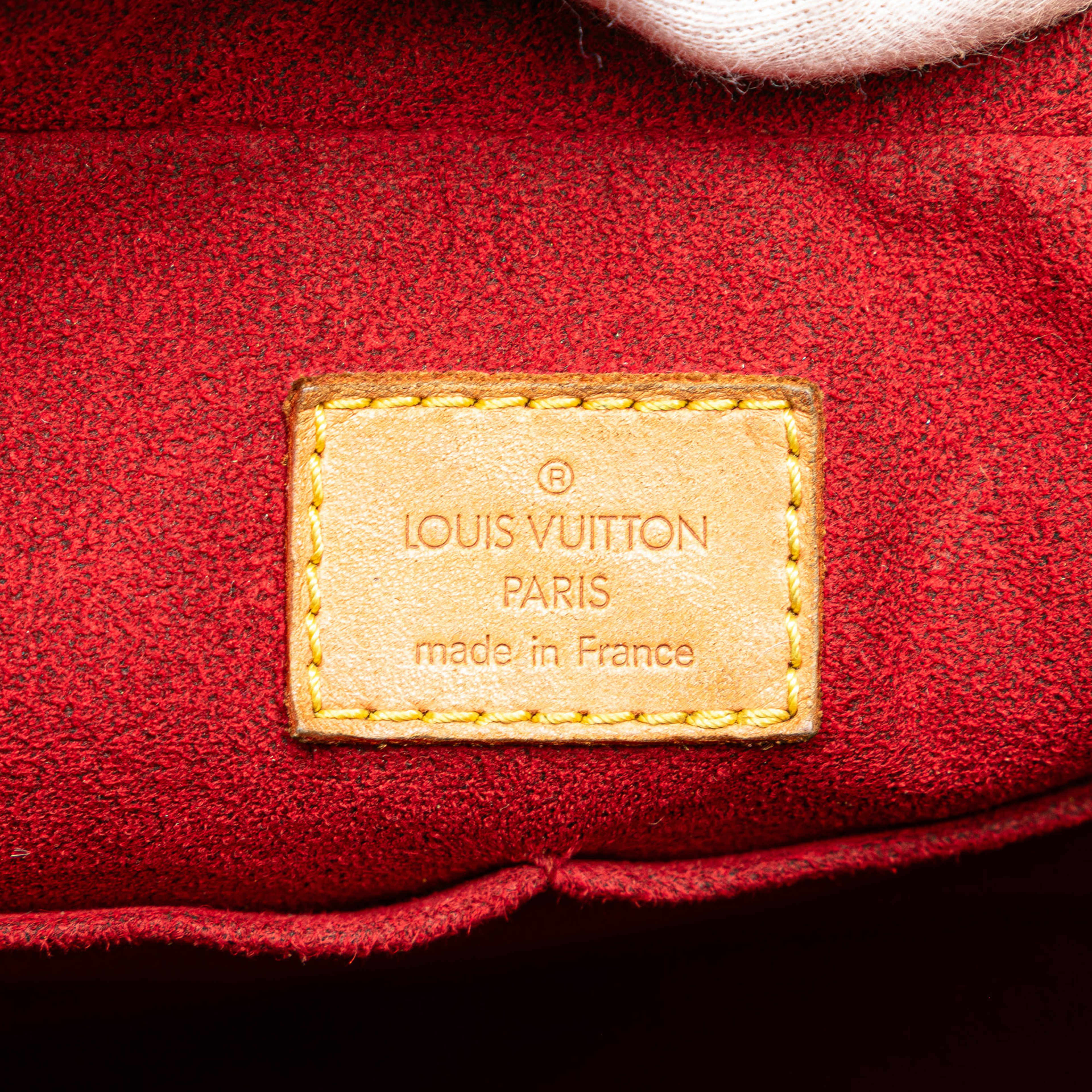 Louis Vuitton Monogram Multipli Cite