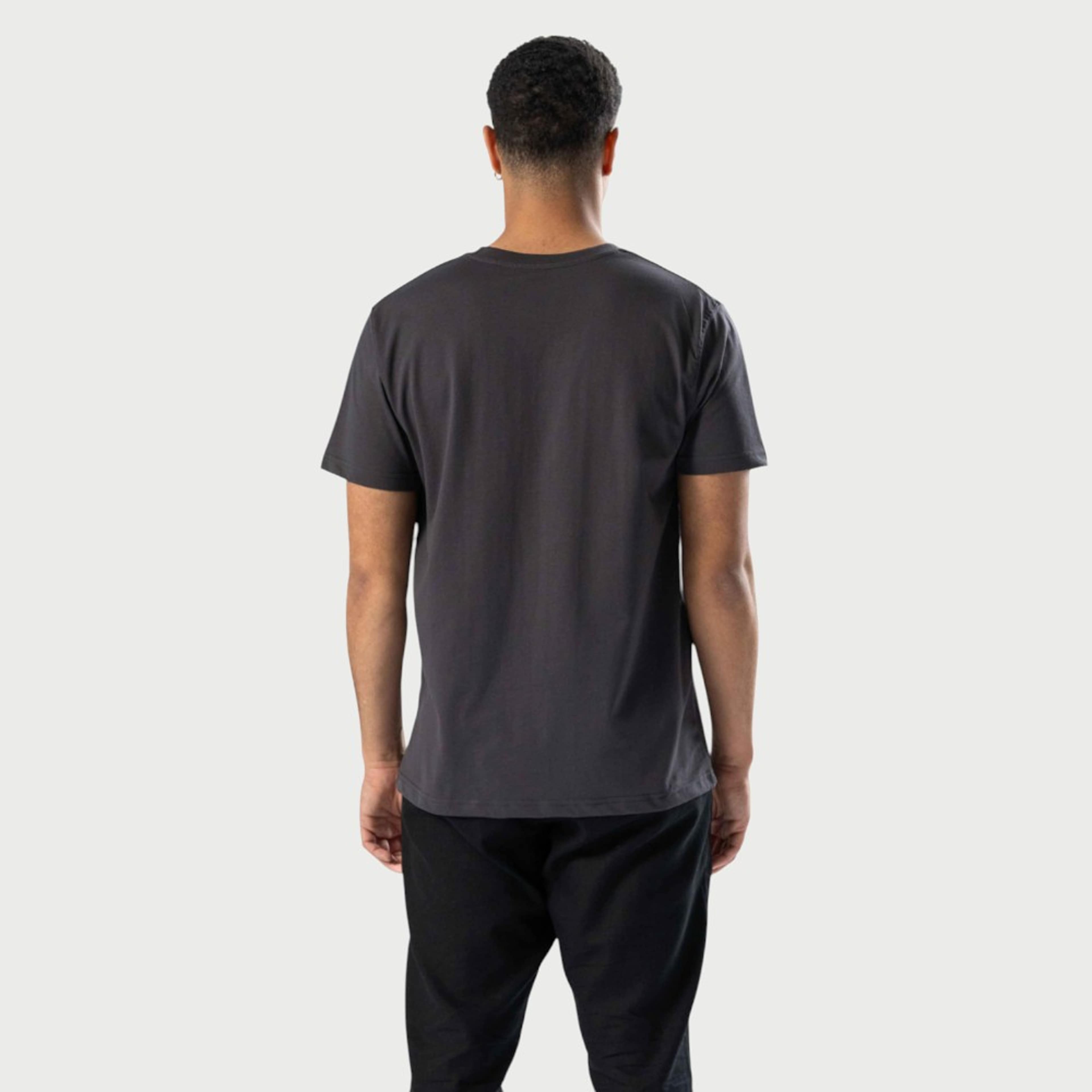 Vanlig T-shirt, från TeeShoppen, i färgen grå. Klicka för att öppna bilden i stort format