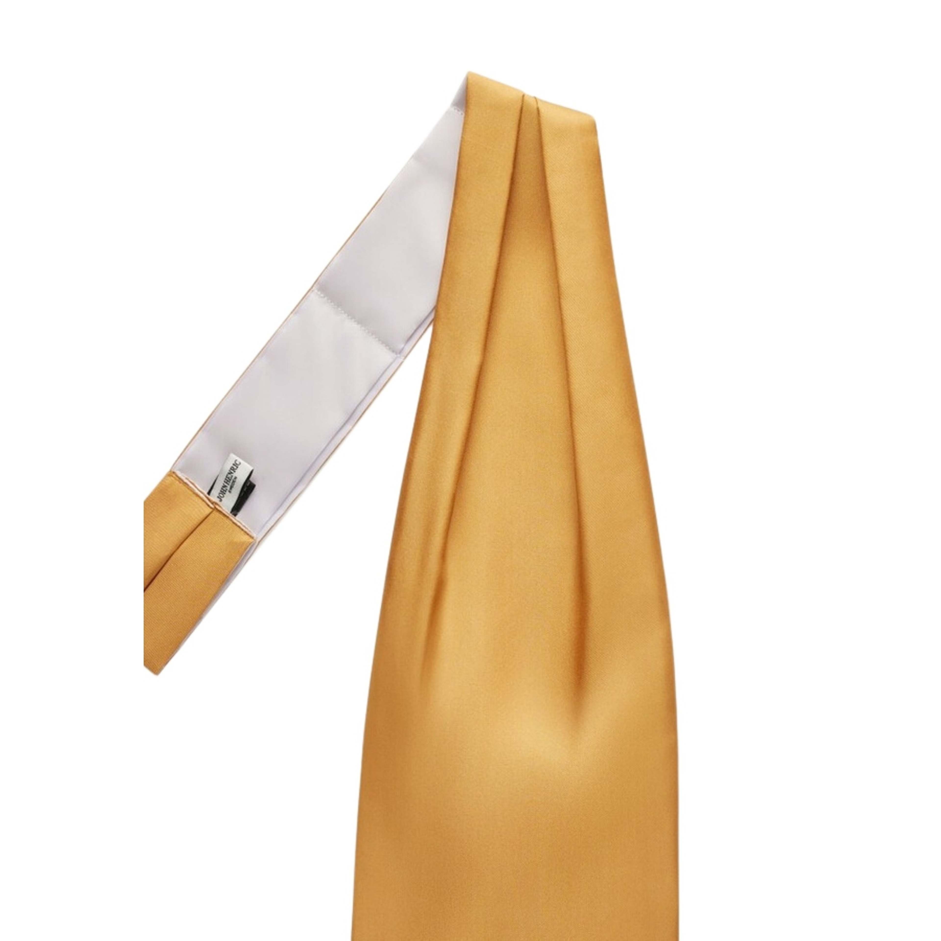 Silk Single Pointed Ascot Plain