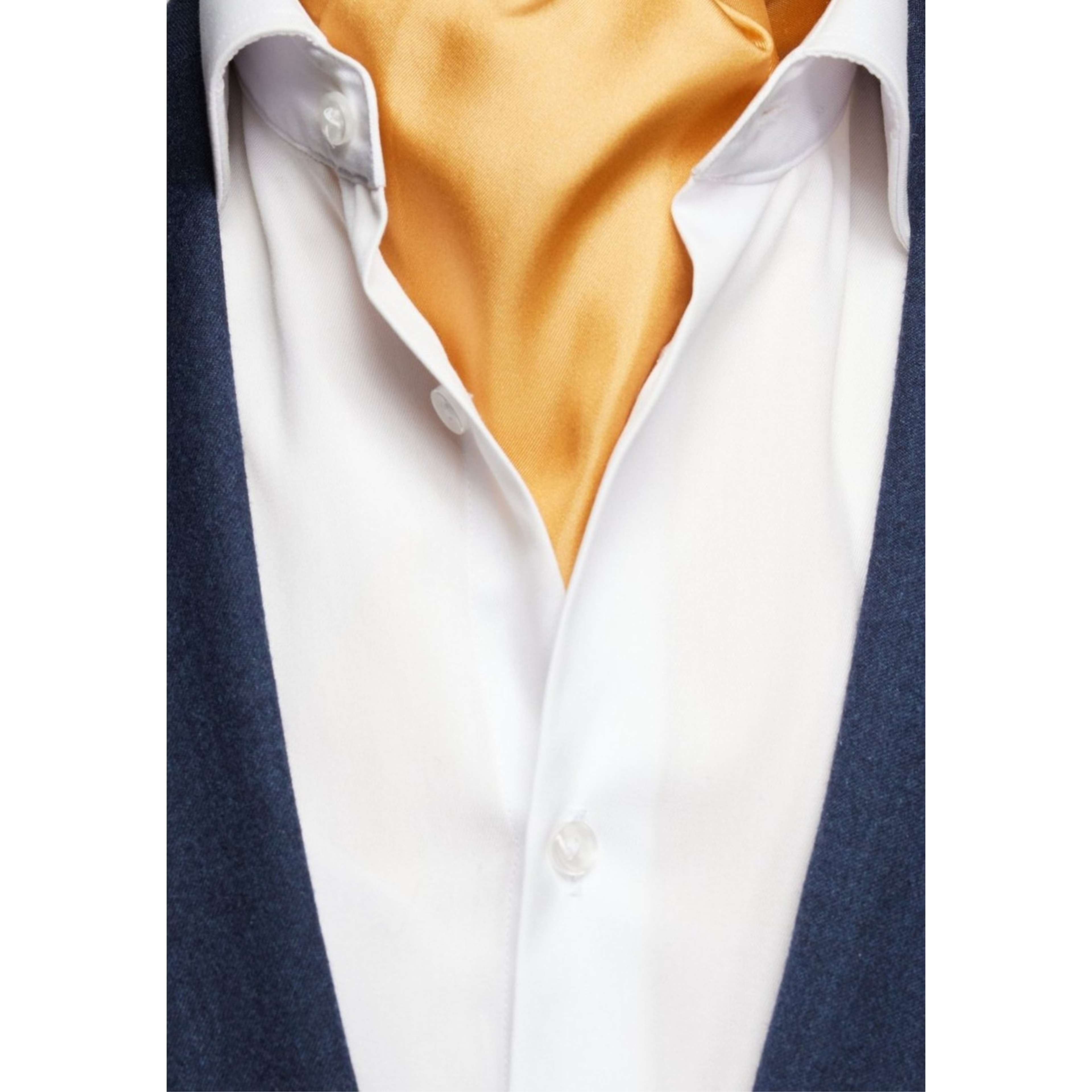 Silk Single Pointed Ascot Plain