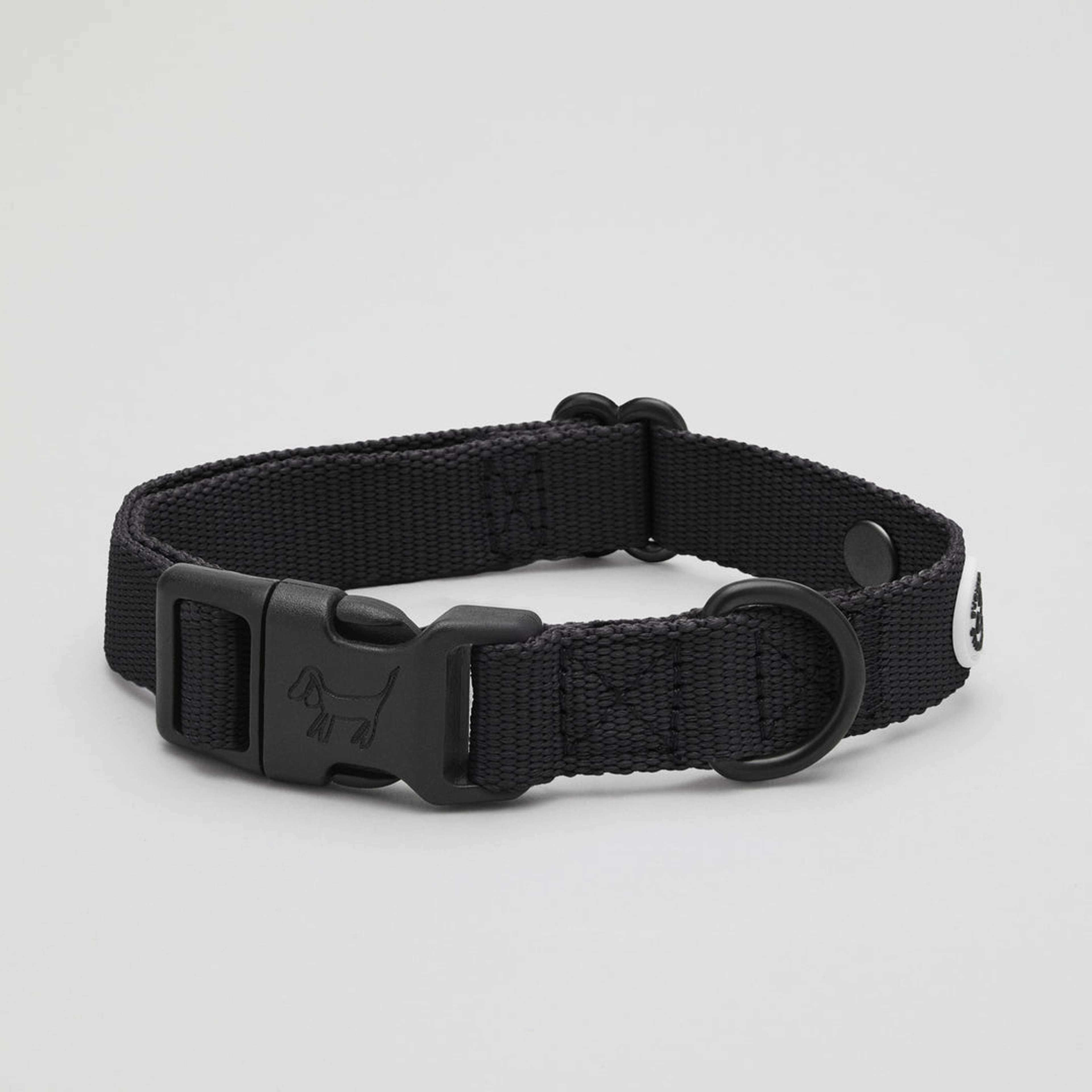 Pitch Black Dog Collar Walk Kit - S