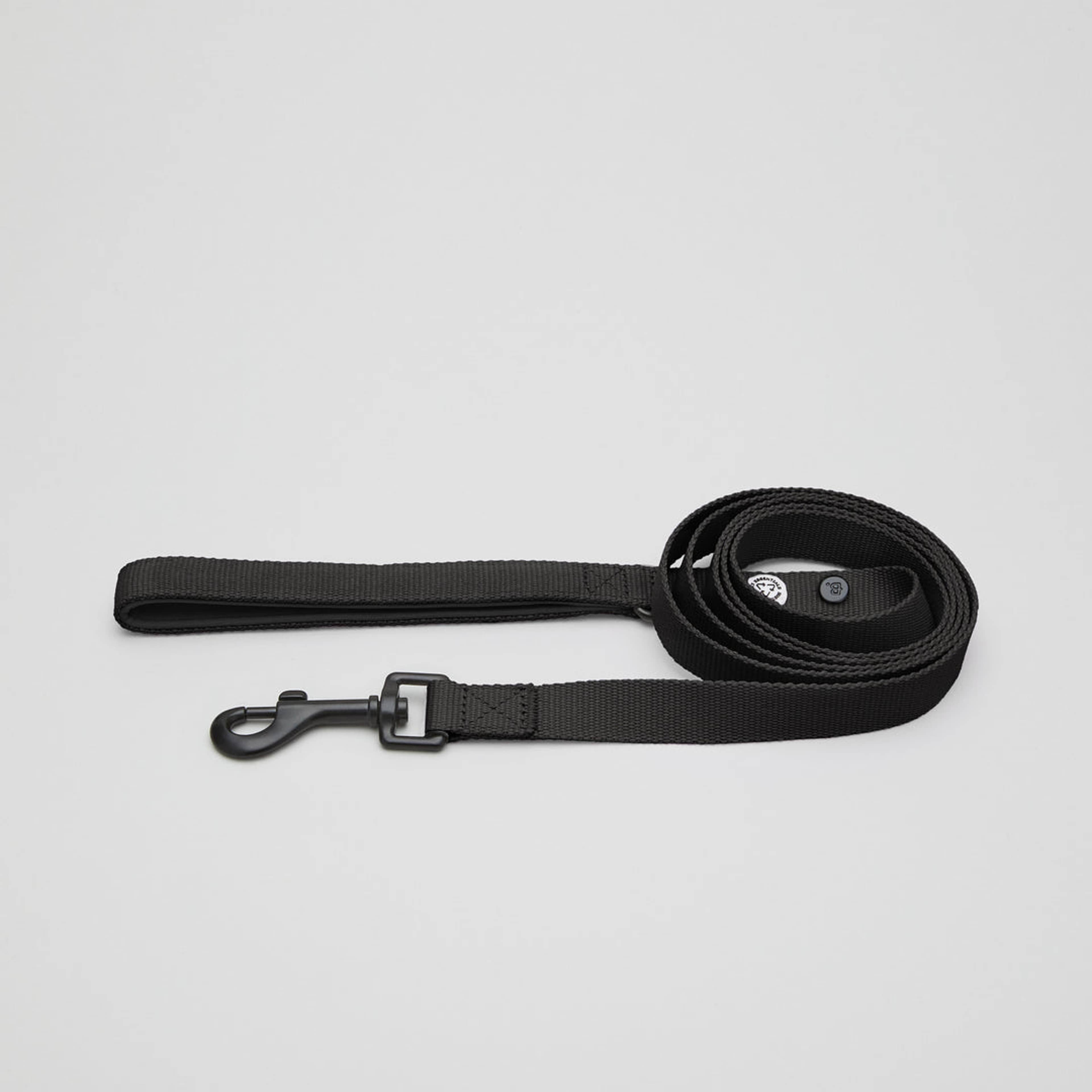 Pitch Black Dog Collar Walk Kit - S