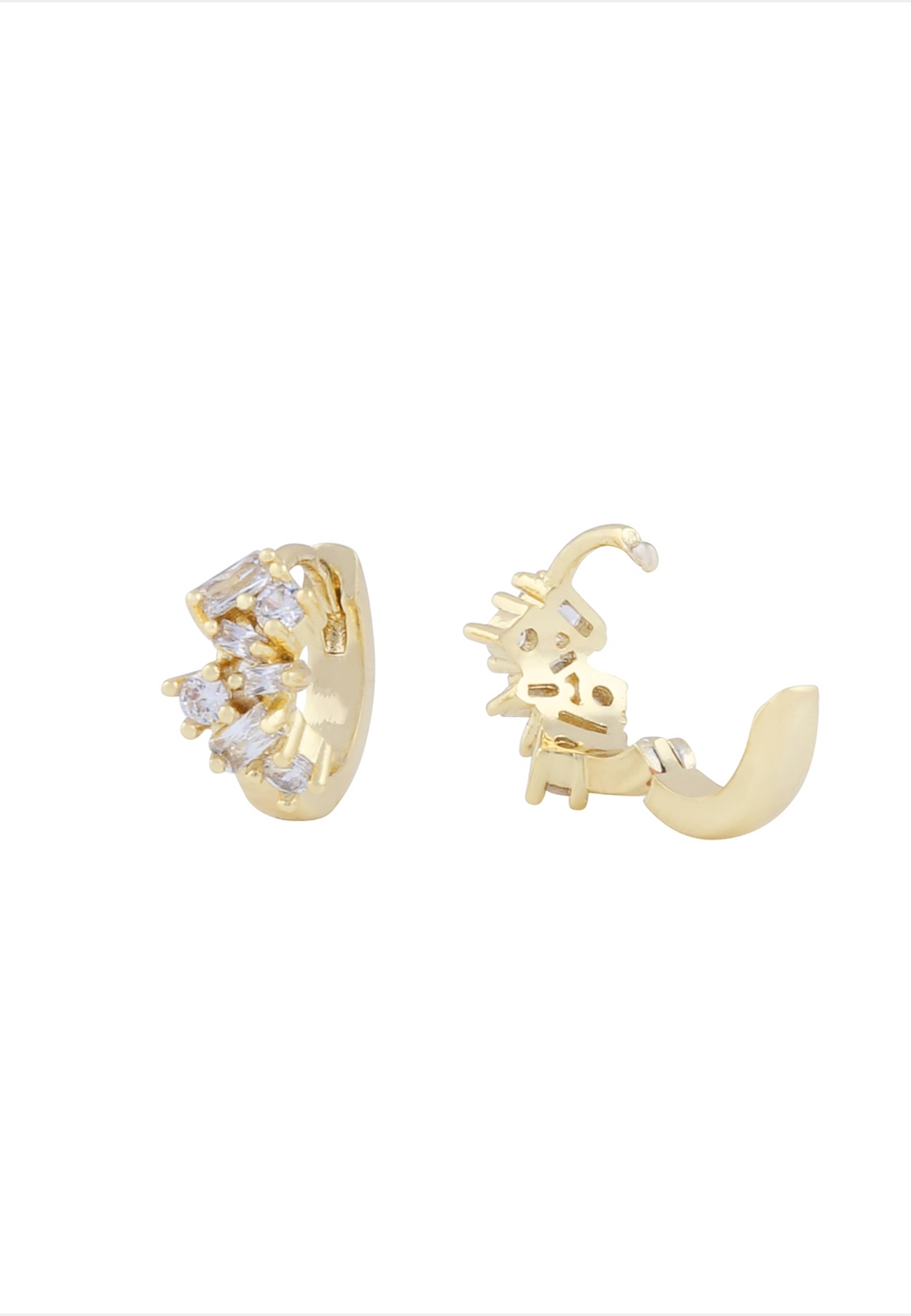 Envy Small Irregular Ring Ear