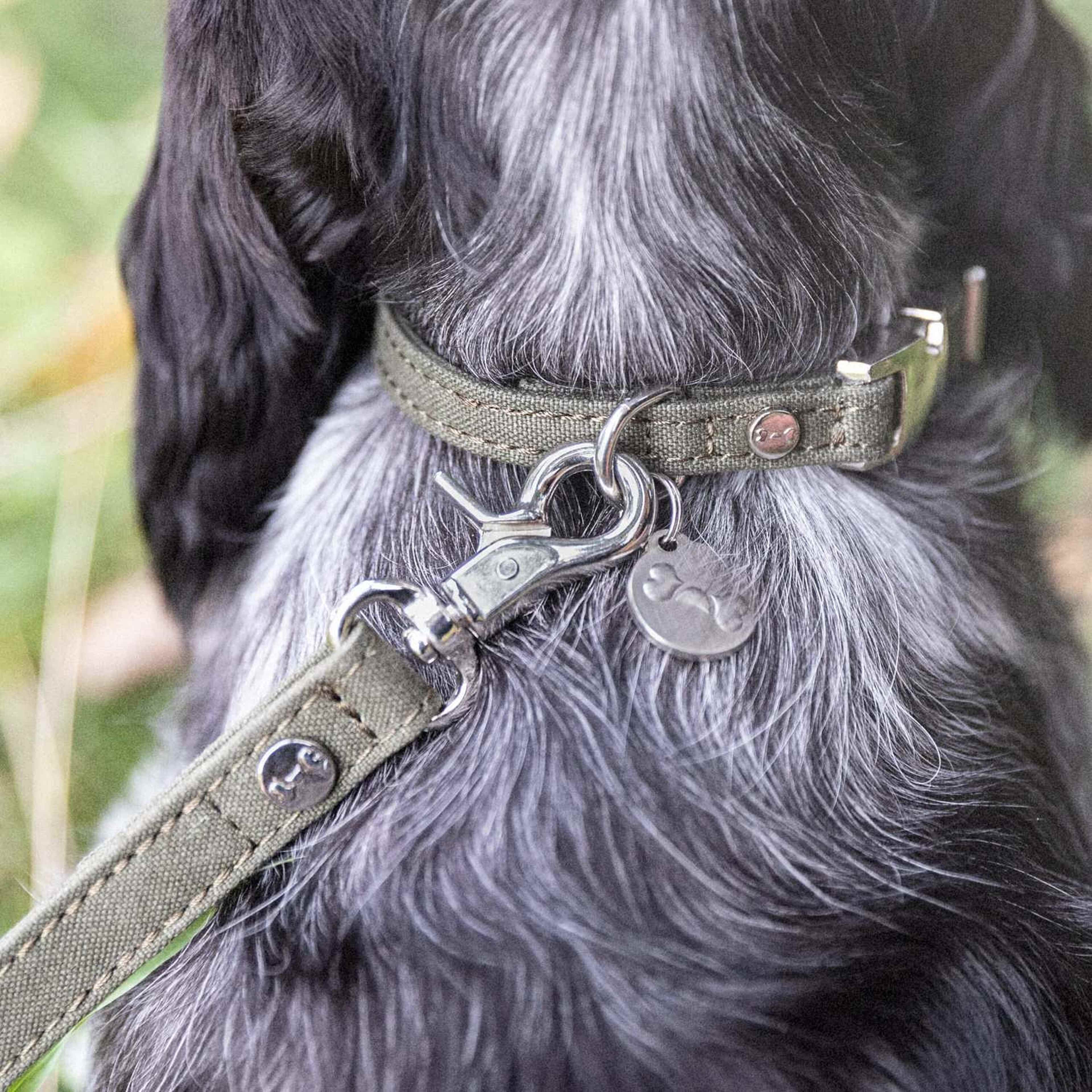 Hundkoppel Signature Go Khakigrön - Denjo Dogs