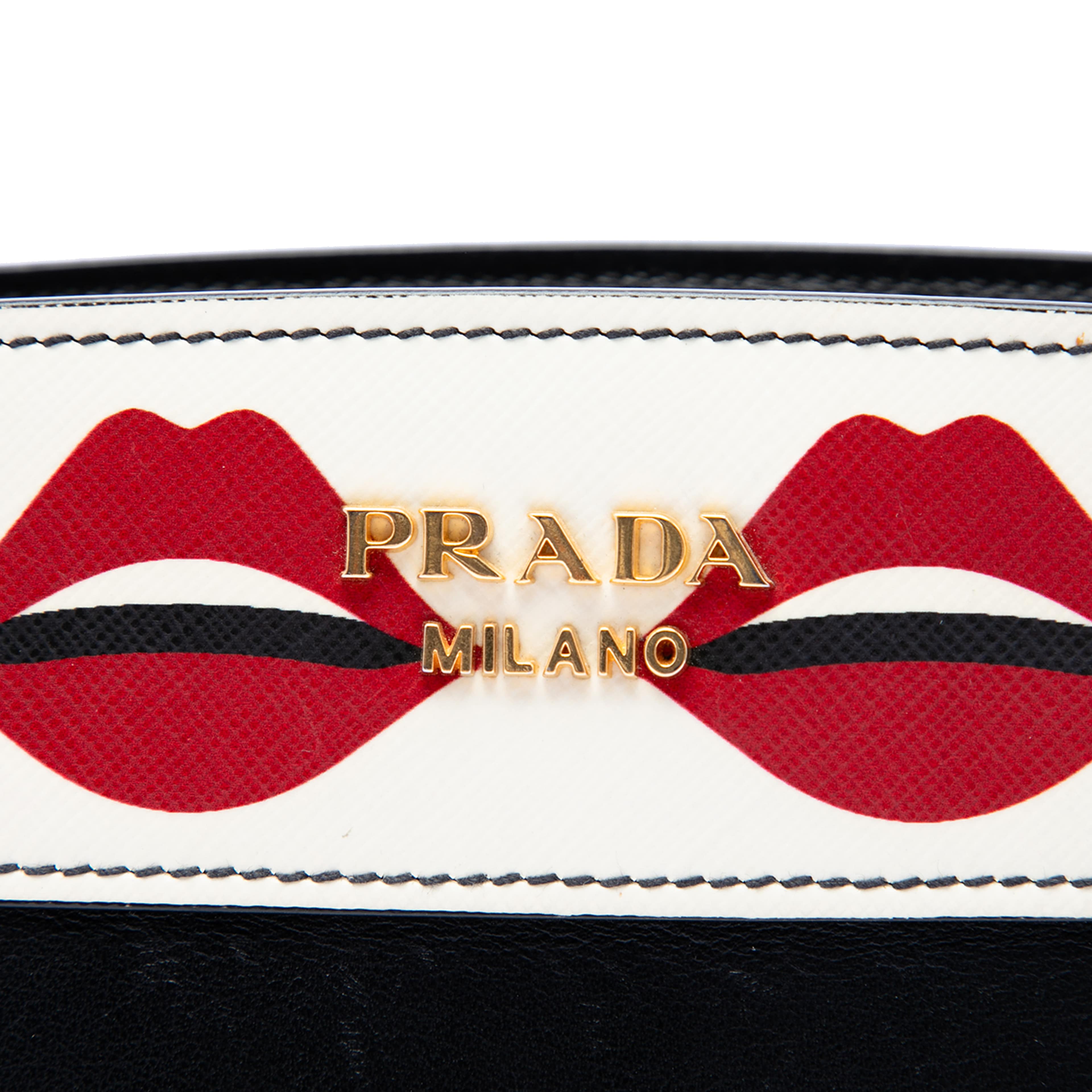Prada City Calf And Saffiano Lip Print Esplanade Crossbody, från Luxclusif, i färgen svart. Klicka för att öppna bilden i stort format