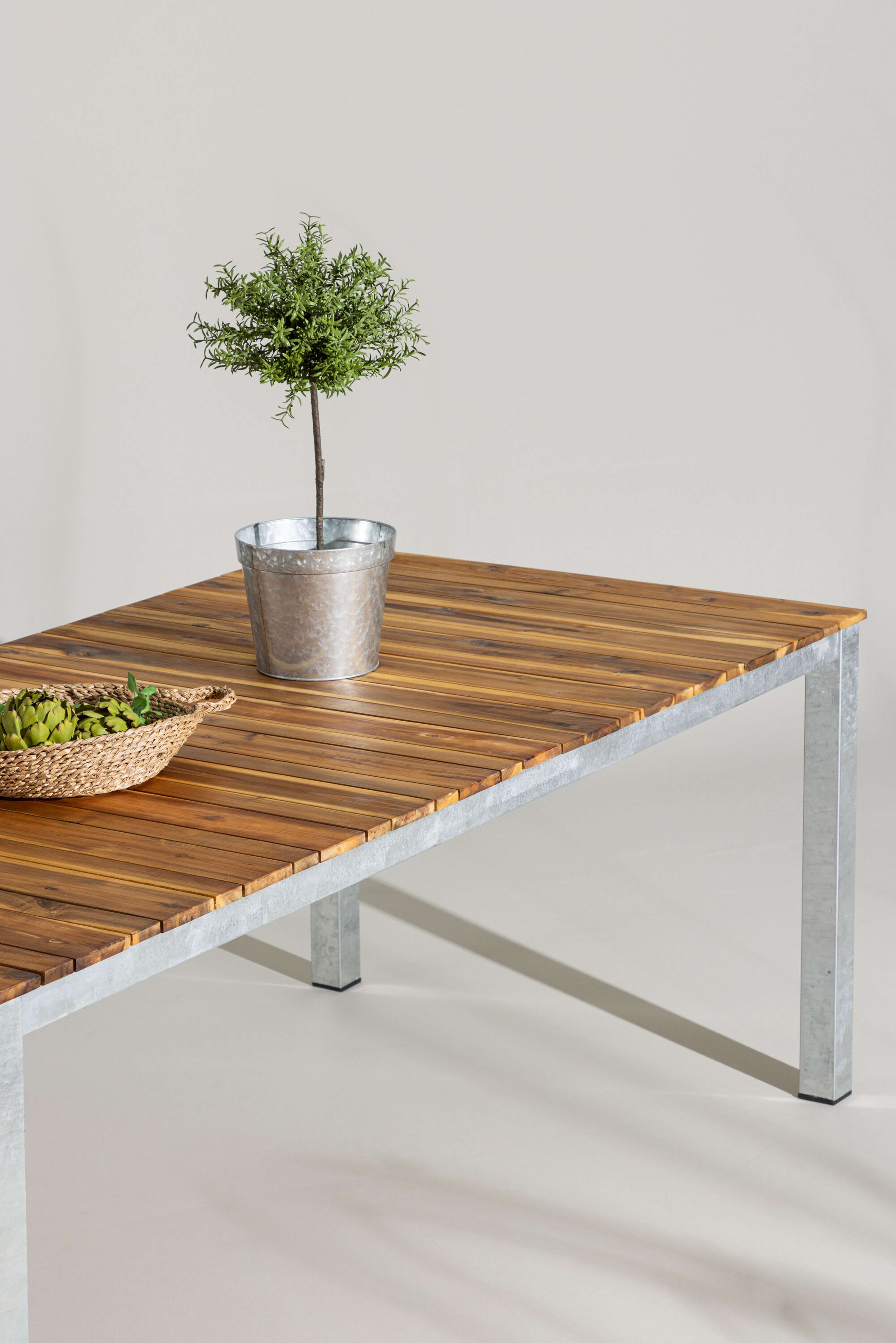 Zenia Bord