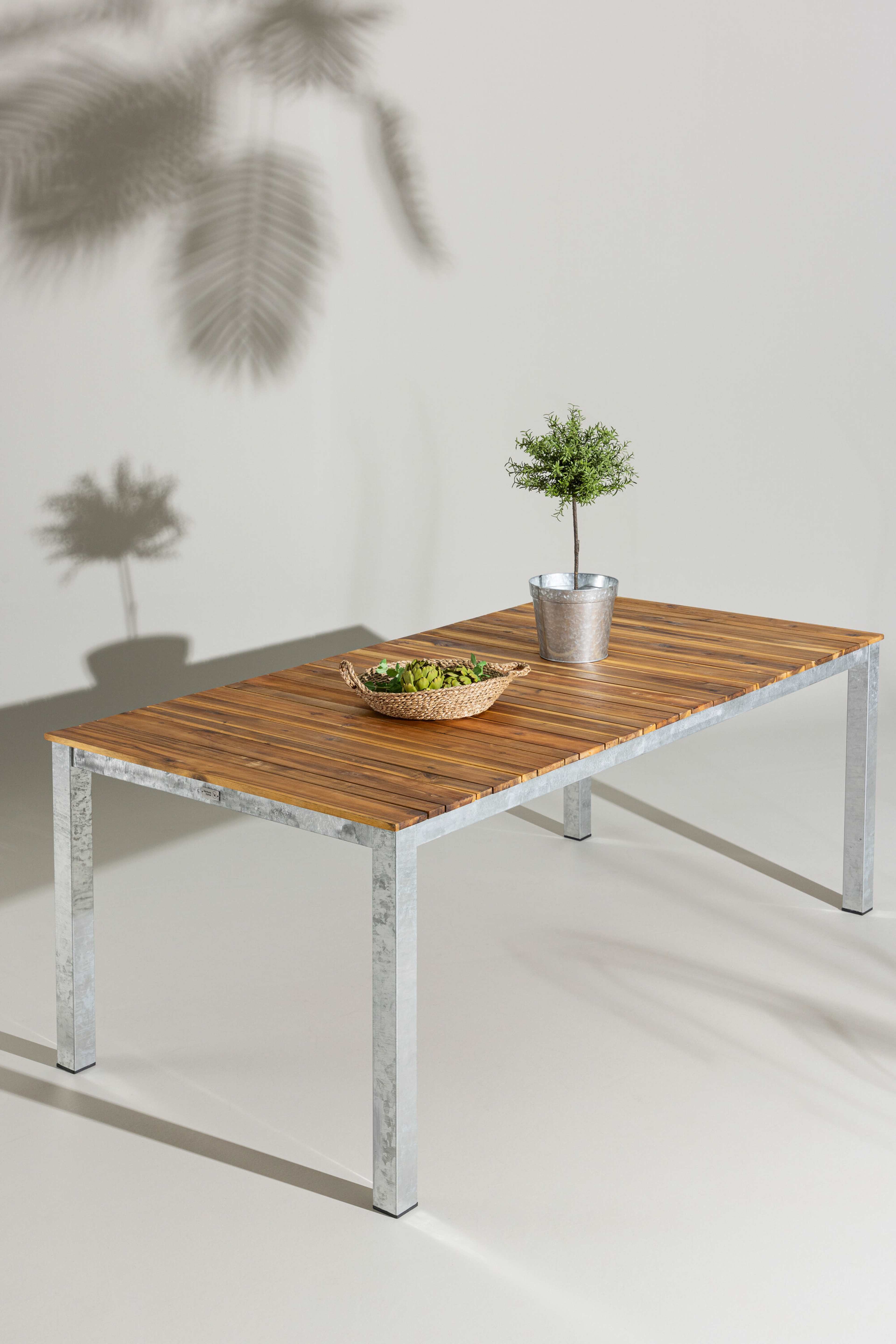 Zenia Bord