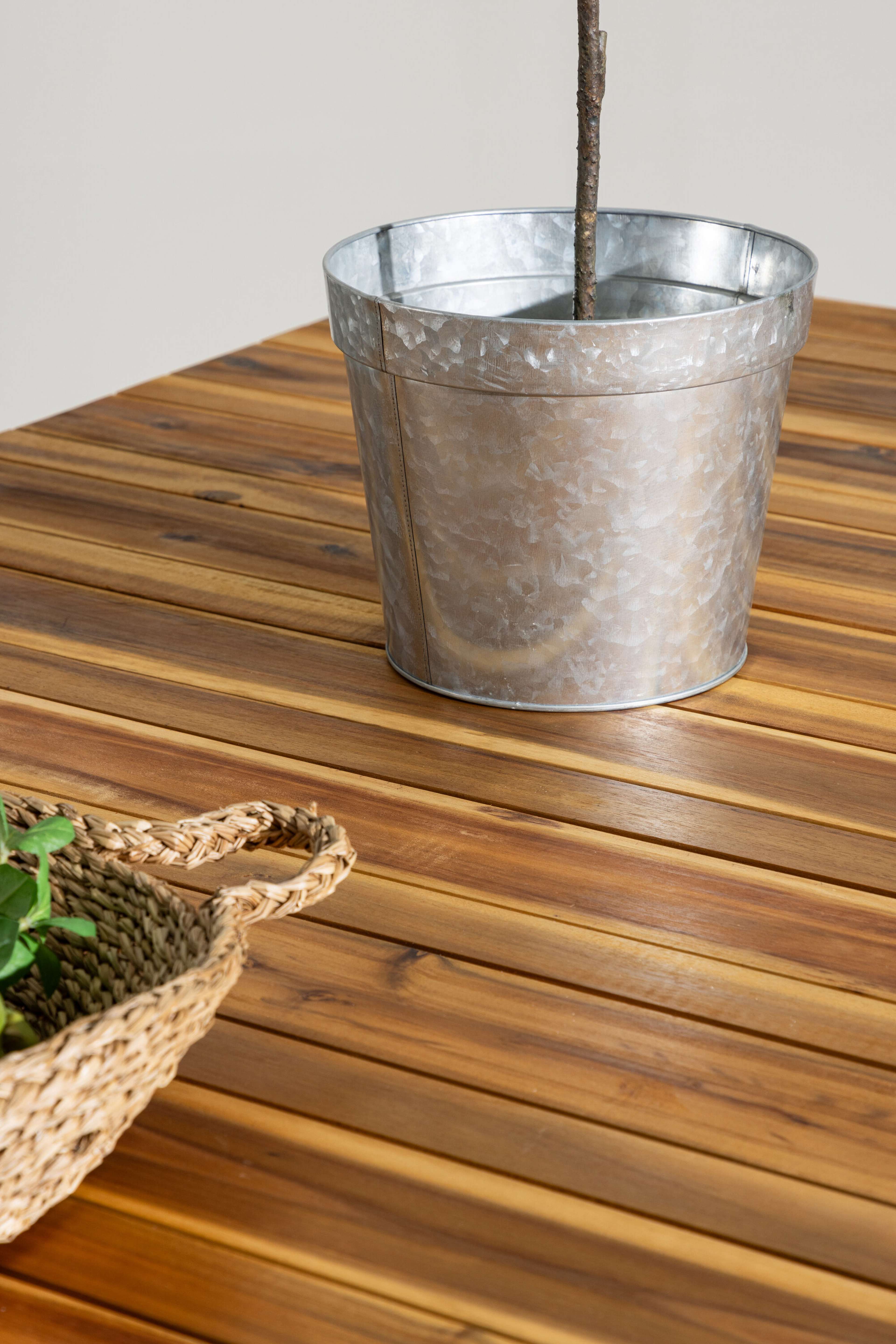 Zenia Bord