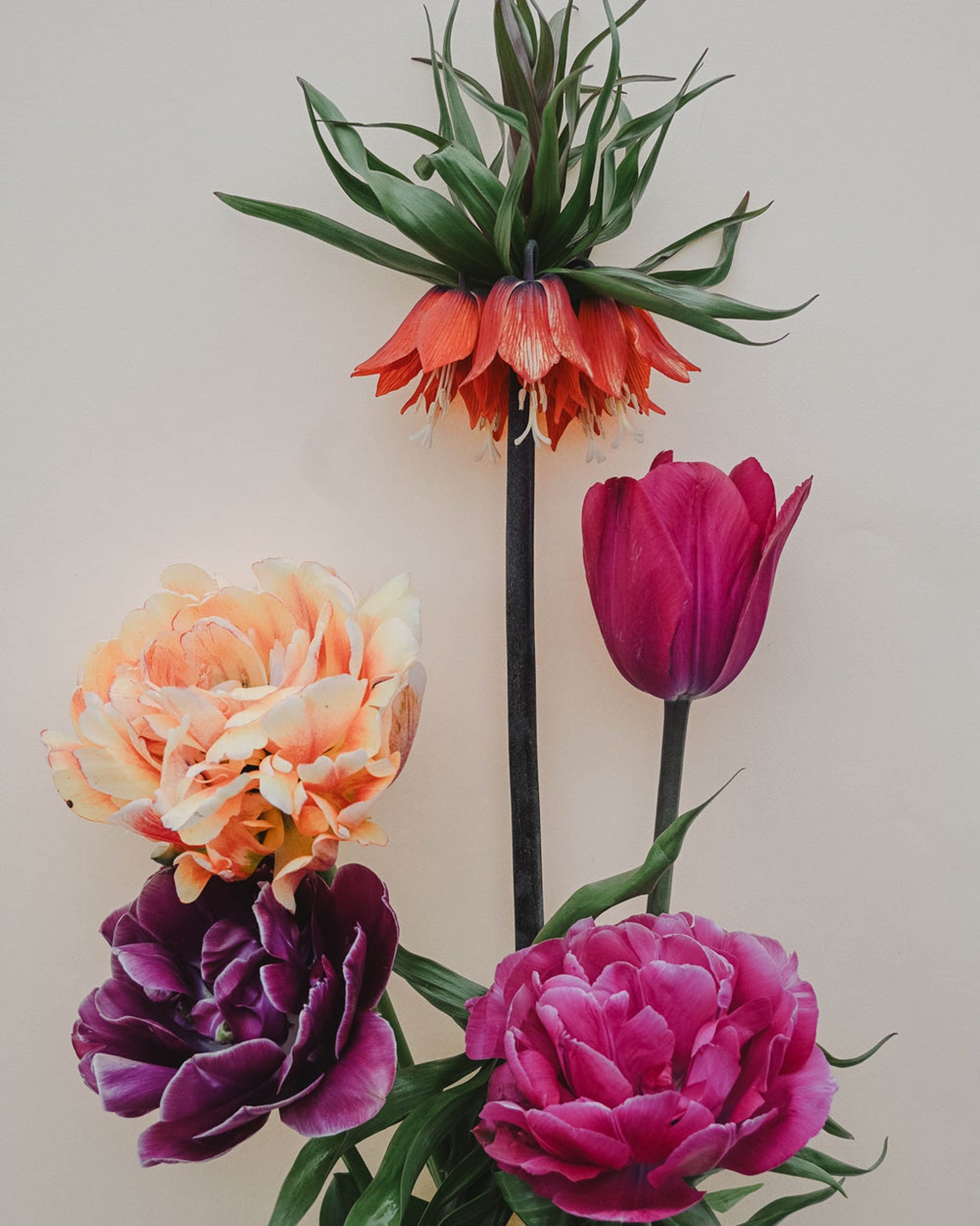 Majestic Collection - Designad Blomsterlöksrabatt, från New Botanic, i färgen multi. Klicka för att öppna bilden i stort format