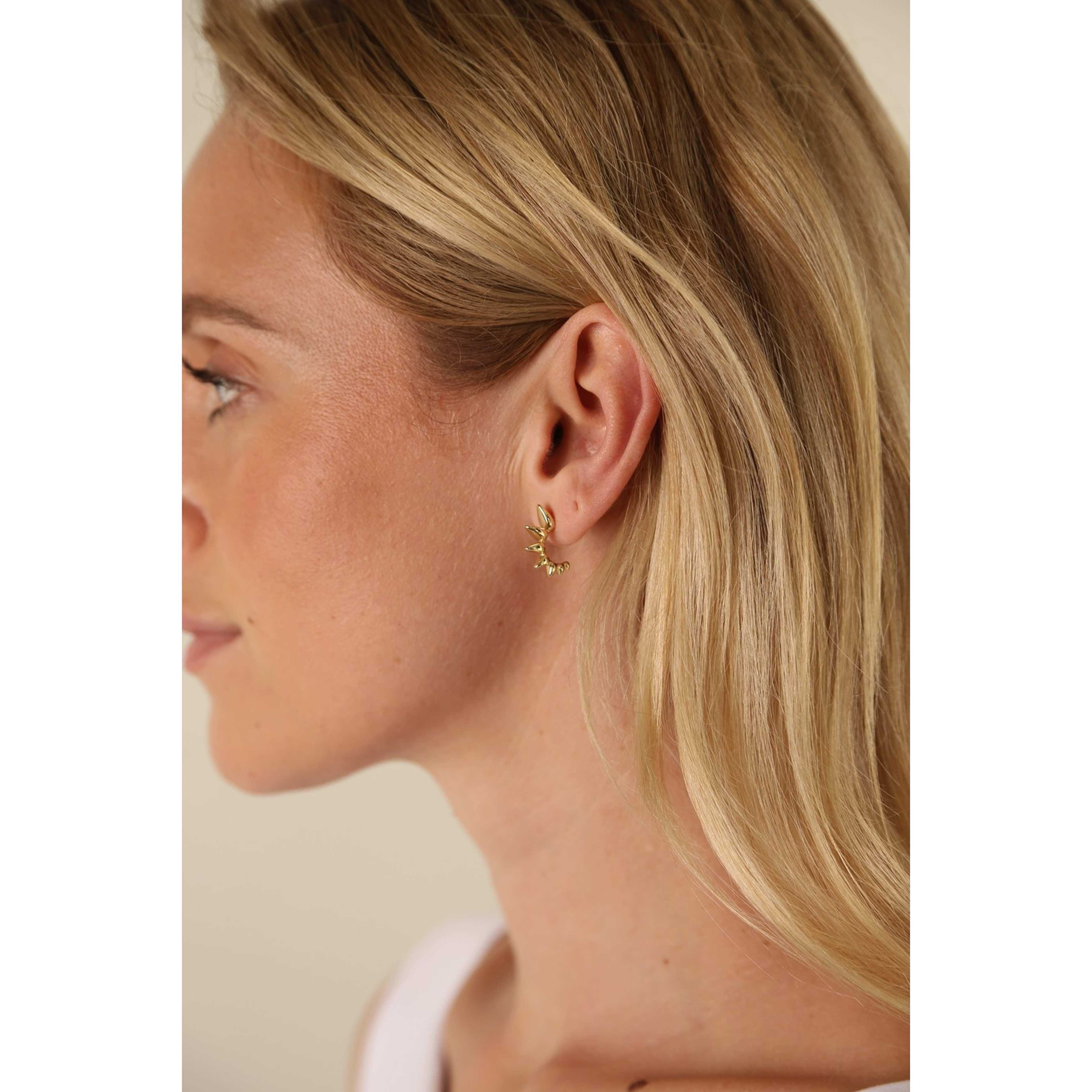 Aero Small Oval Ear