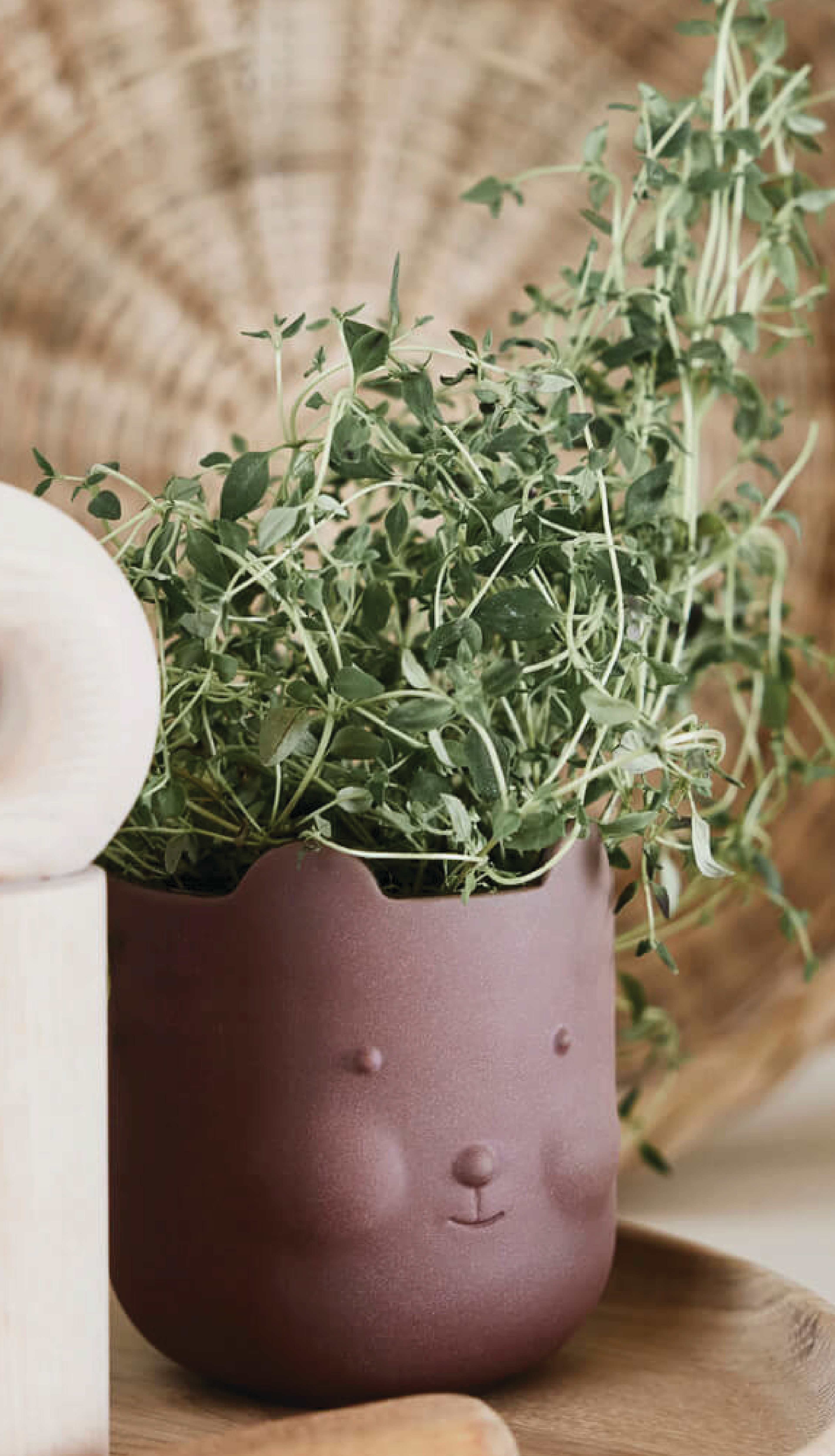 Bear Pot, från OYOY Mini, i färgen dark terracotta. Klicka för att öppna bilden i stort format