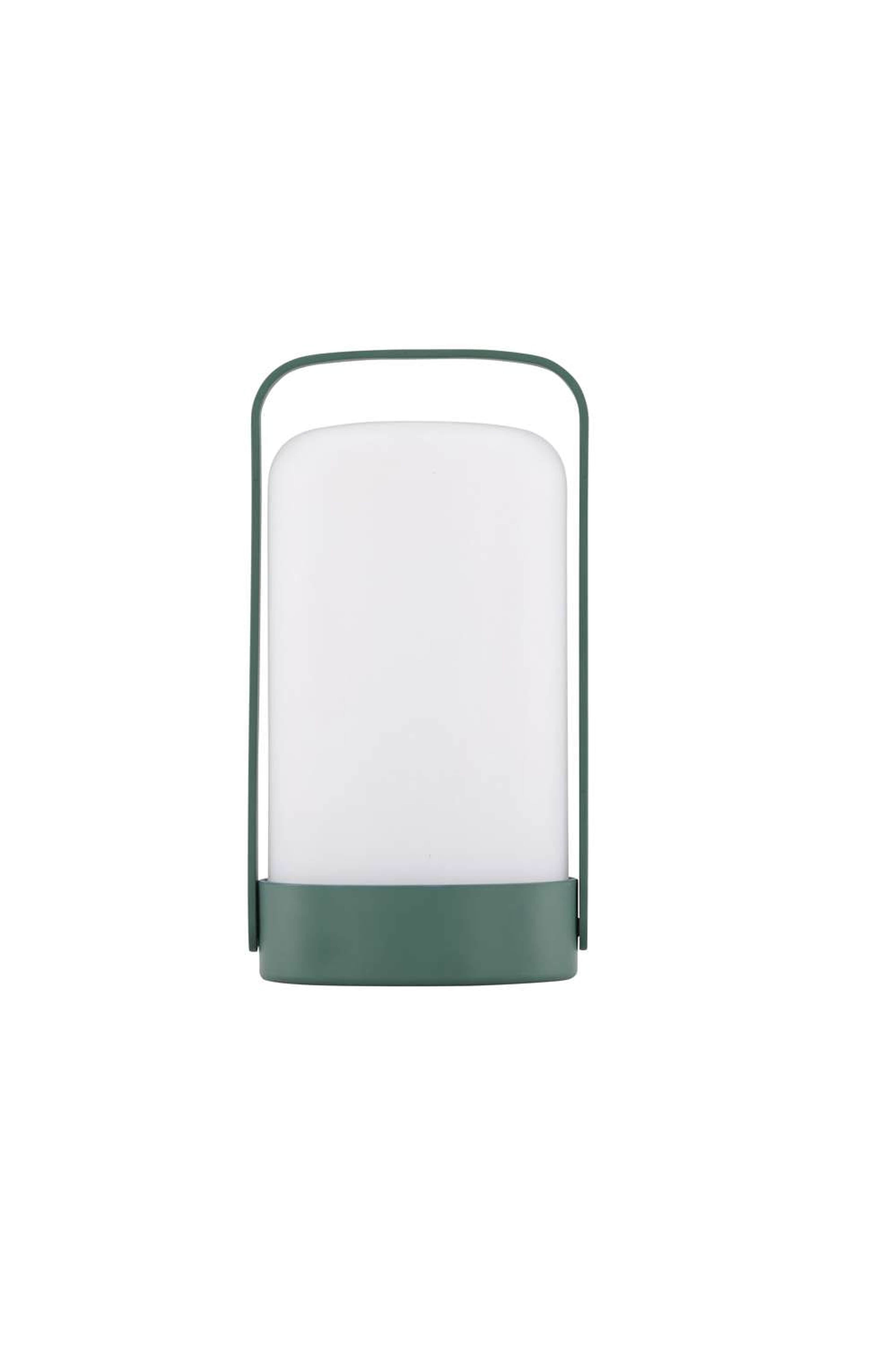 Fern Bordslampa